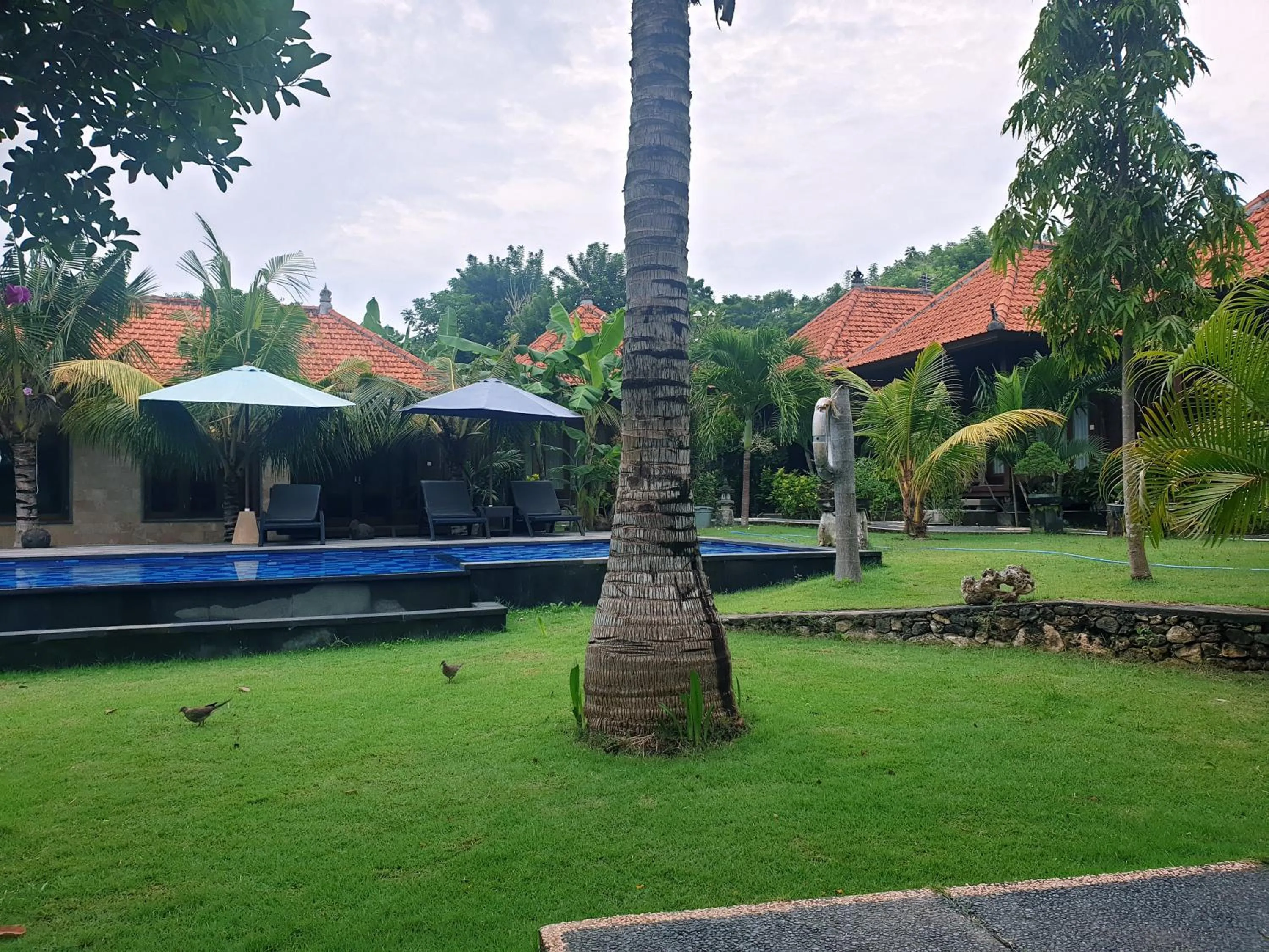 Garden in Kencana Garden