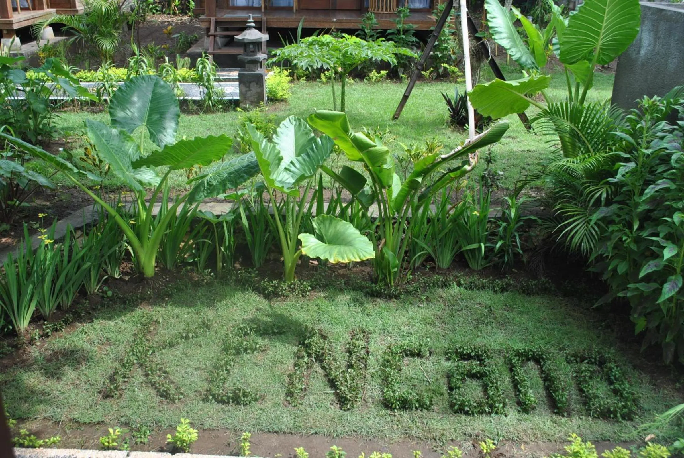Garden in Kencana Garden