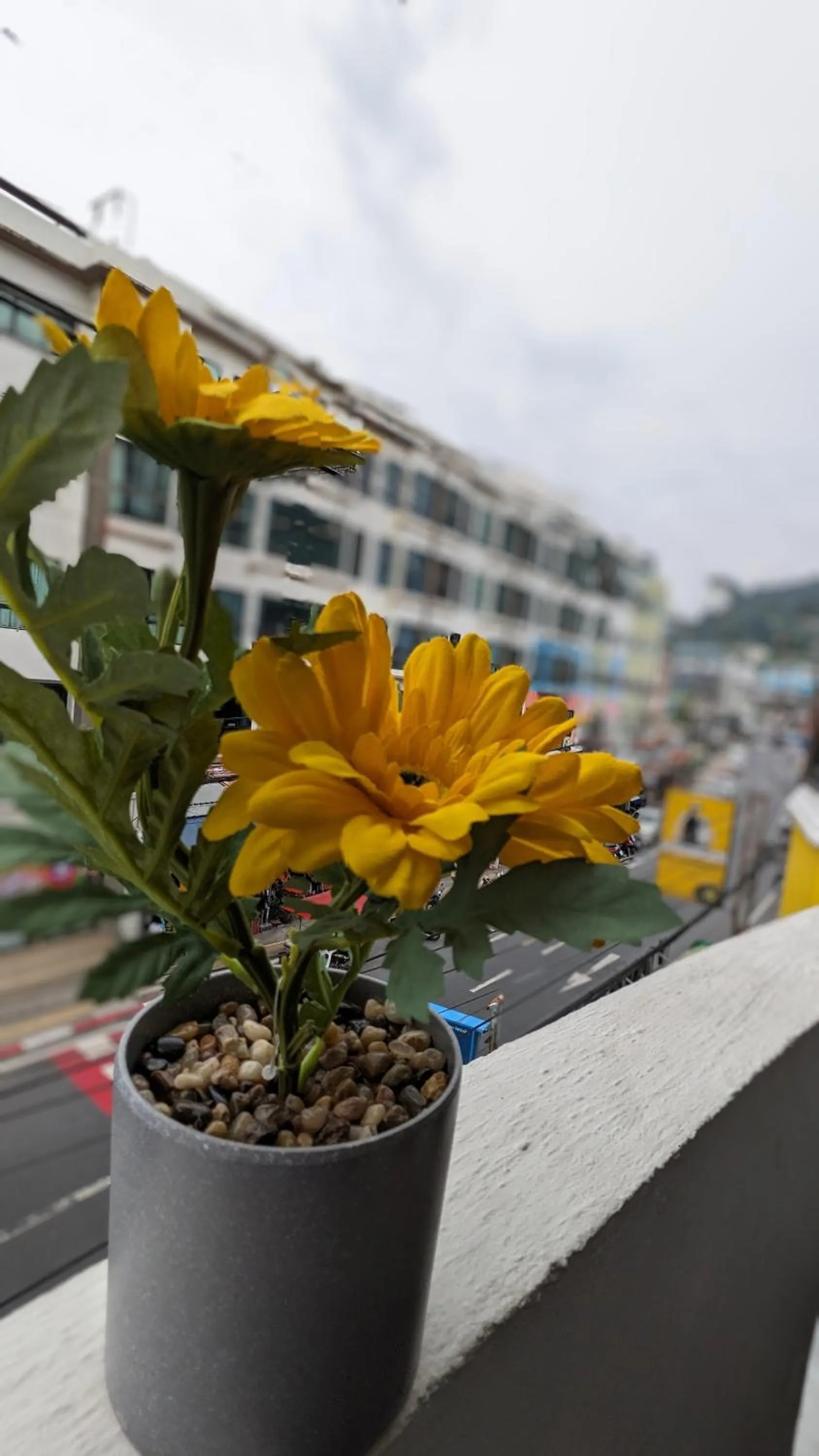 Day in Heaven House Restro & Bar