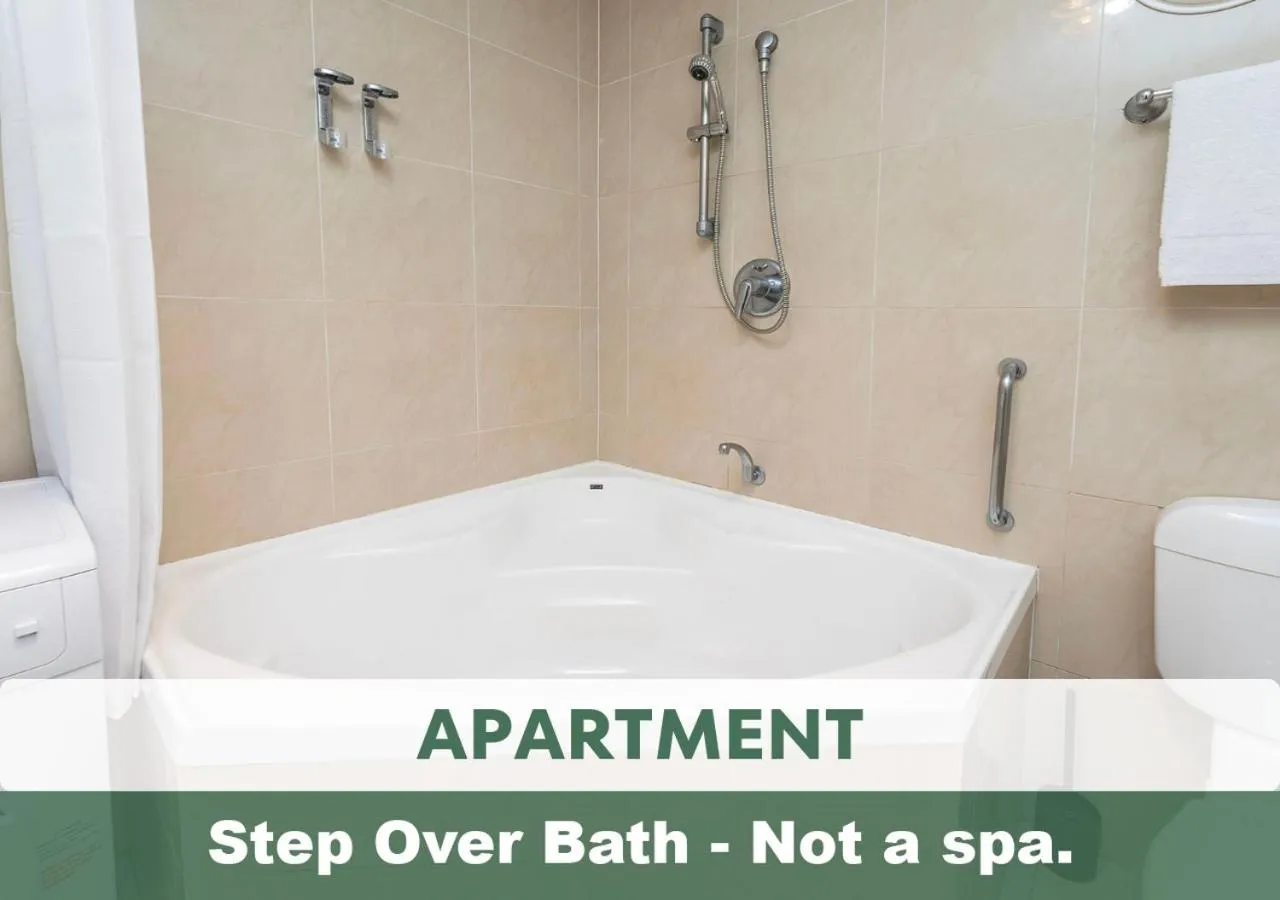 Shower in The Swan Valley Hotel