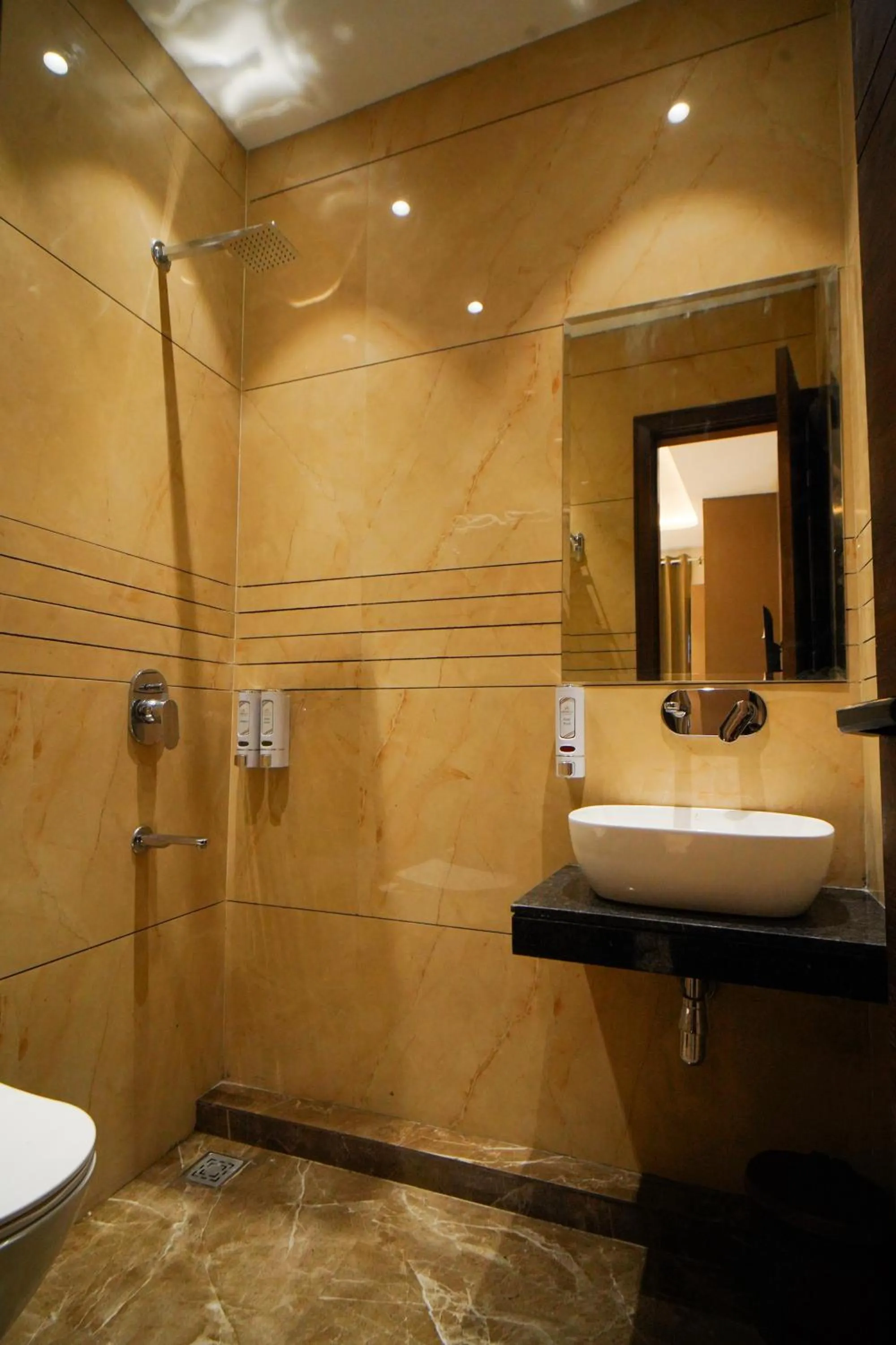 Hotel Ammison Inn & Suites