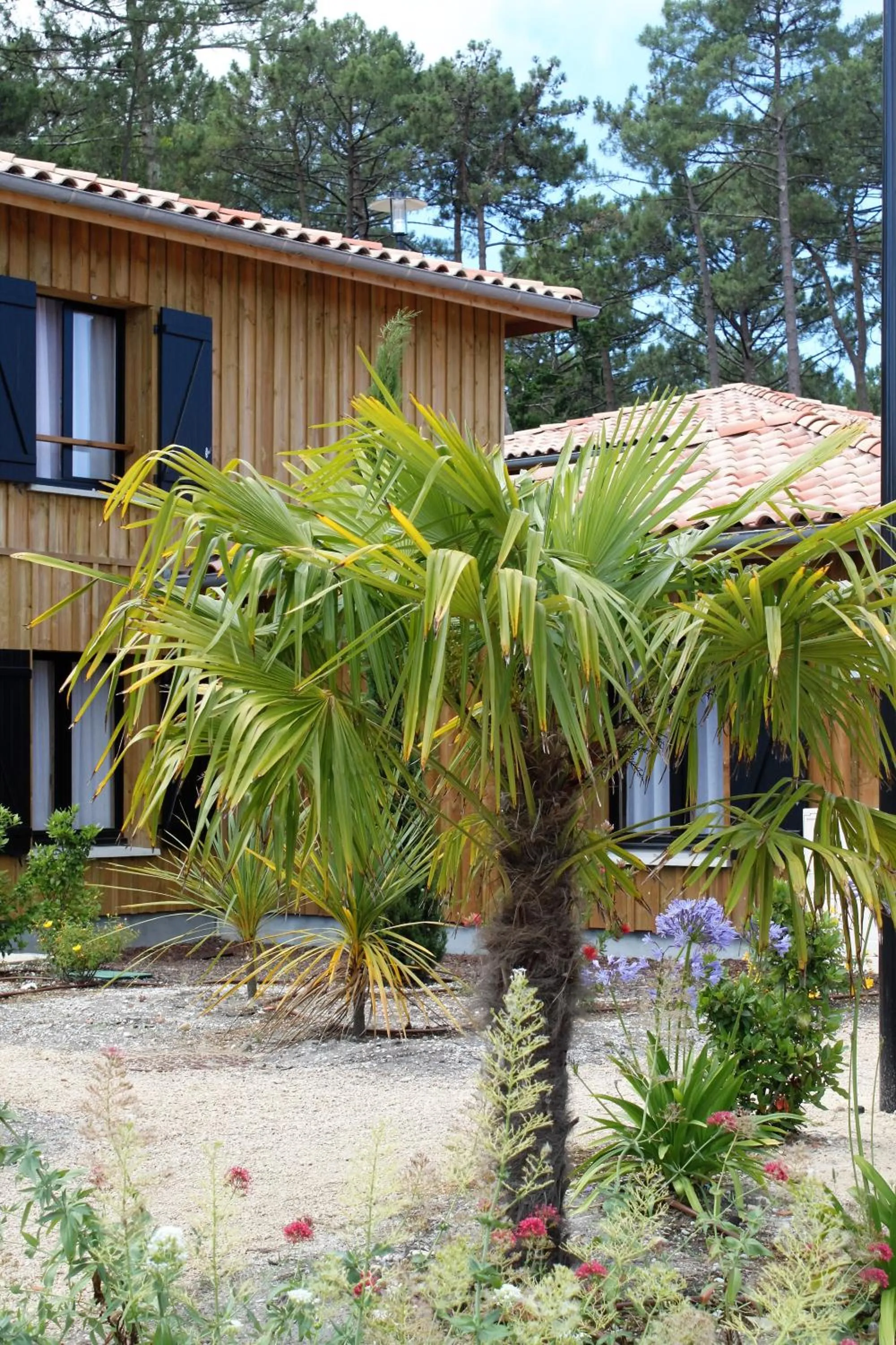 Patio in Domaine du Ferret Restaurant & Spa