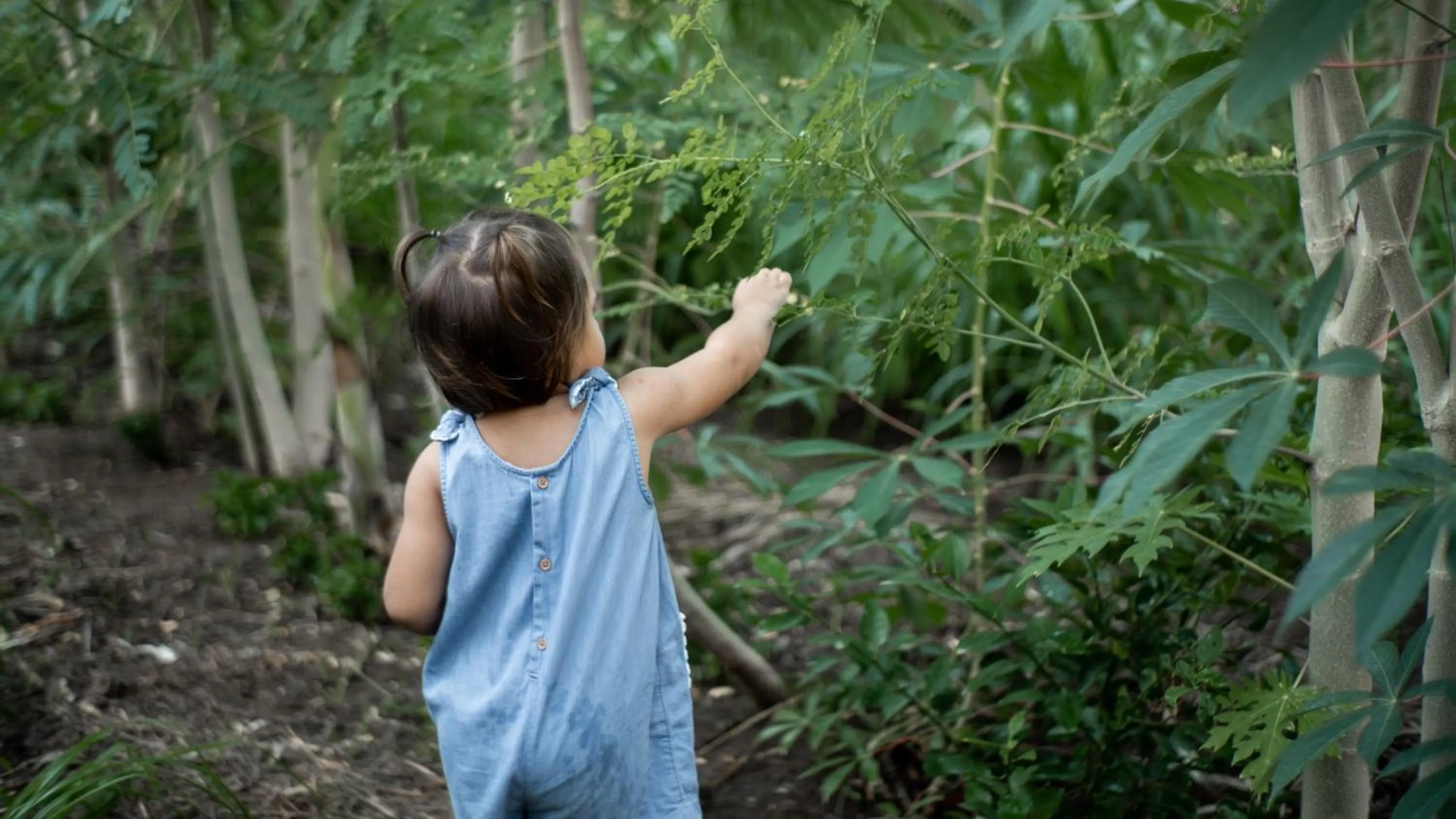 Activities in Dejama Glamping Resort Lombok