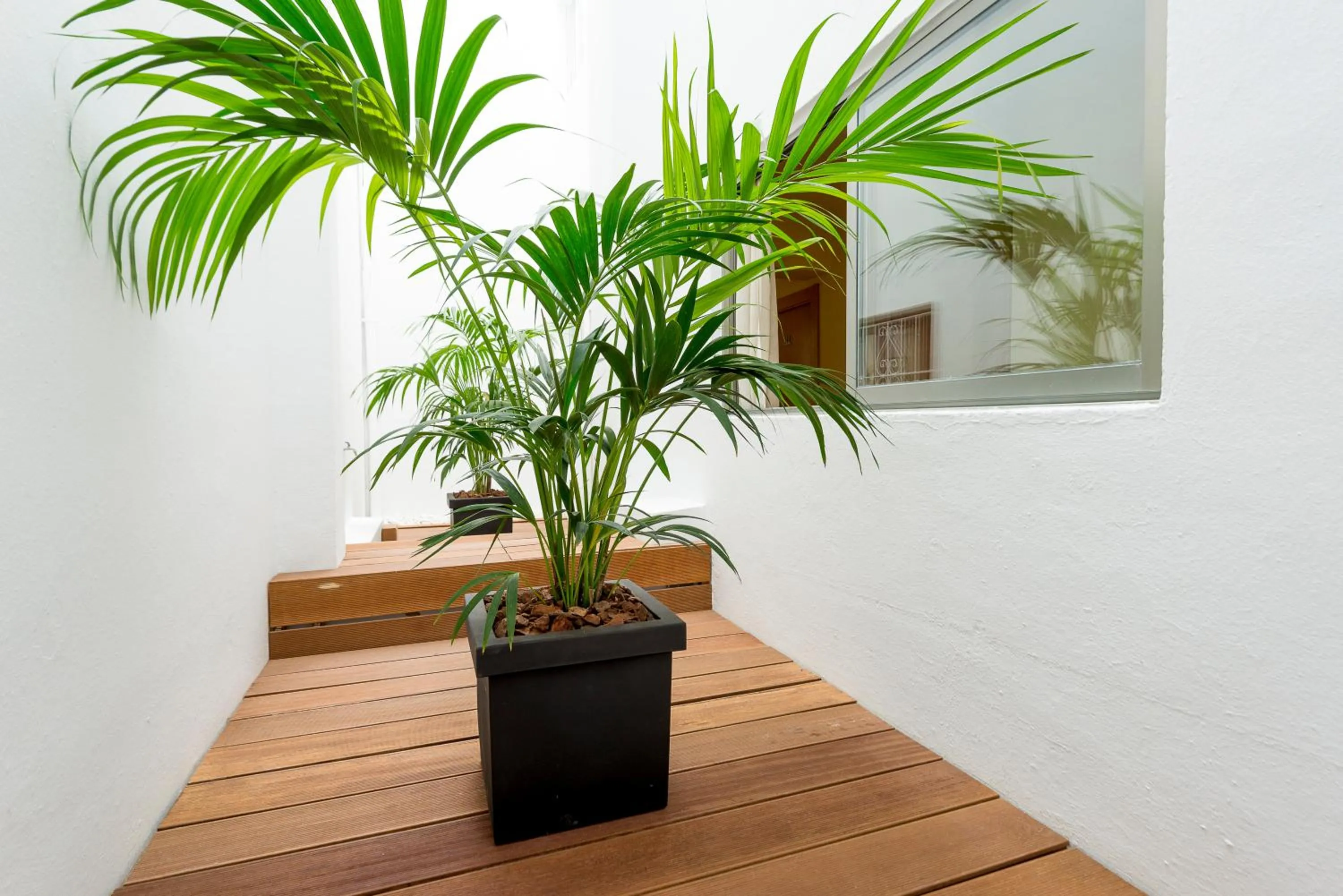 Decorative detail in Hotel Florencio Ibiza