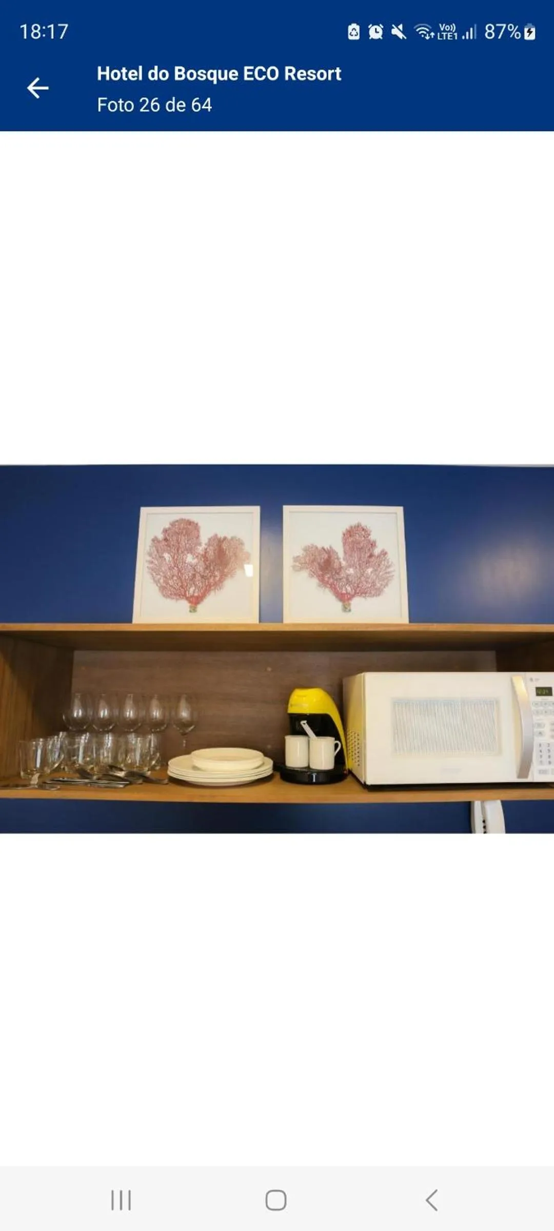 Kitchen or kitchenette in Hotel do Bosque Eco Resort