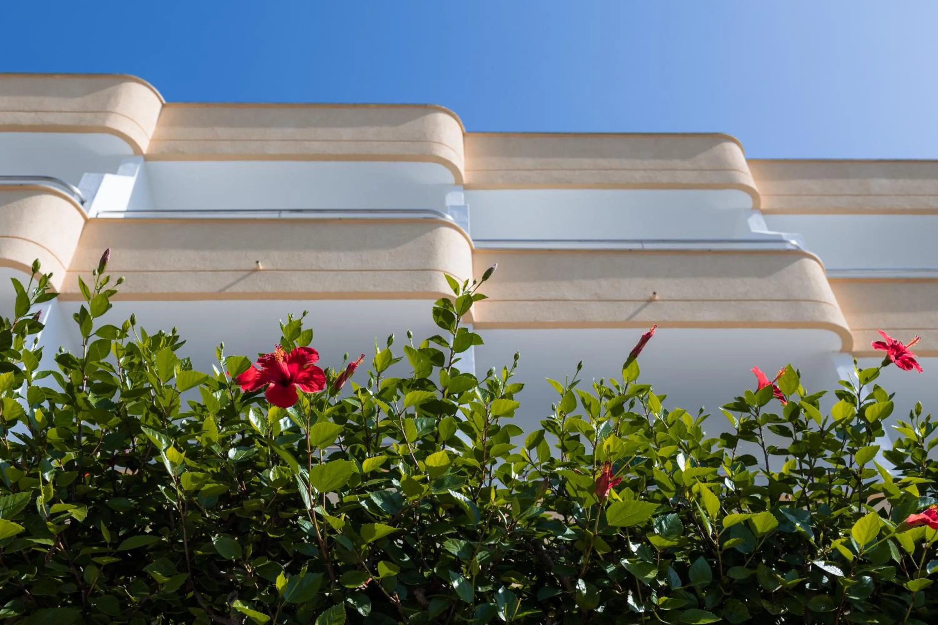 Property building in Sagitario Playa