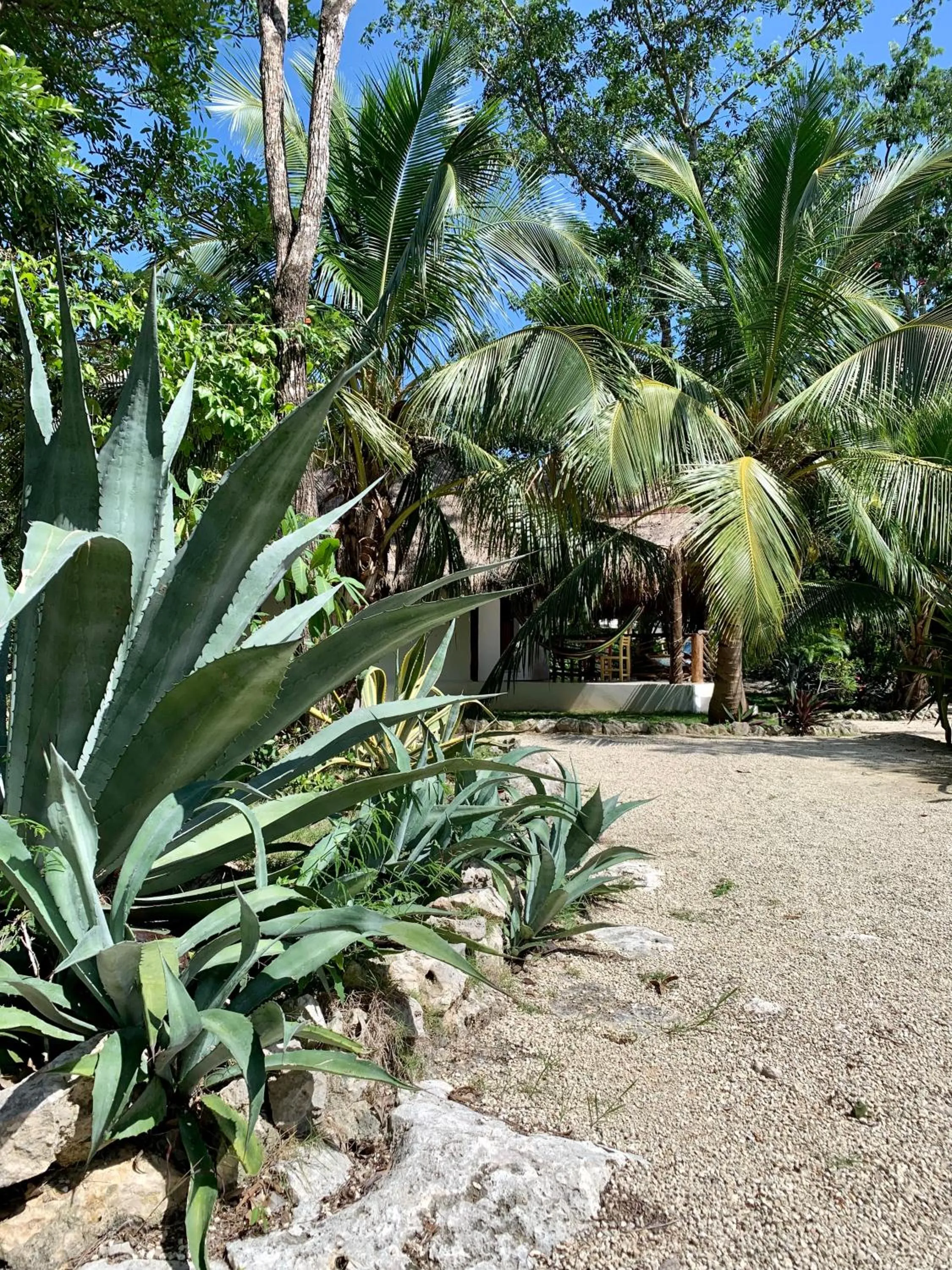 Garden in Villa Morena Boutique Hotel Ecoliving