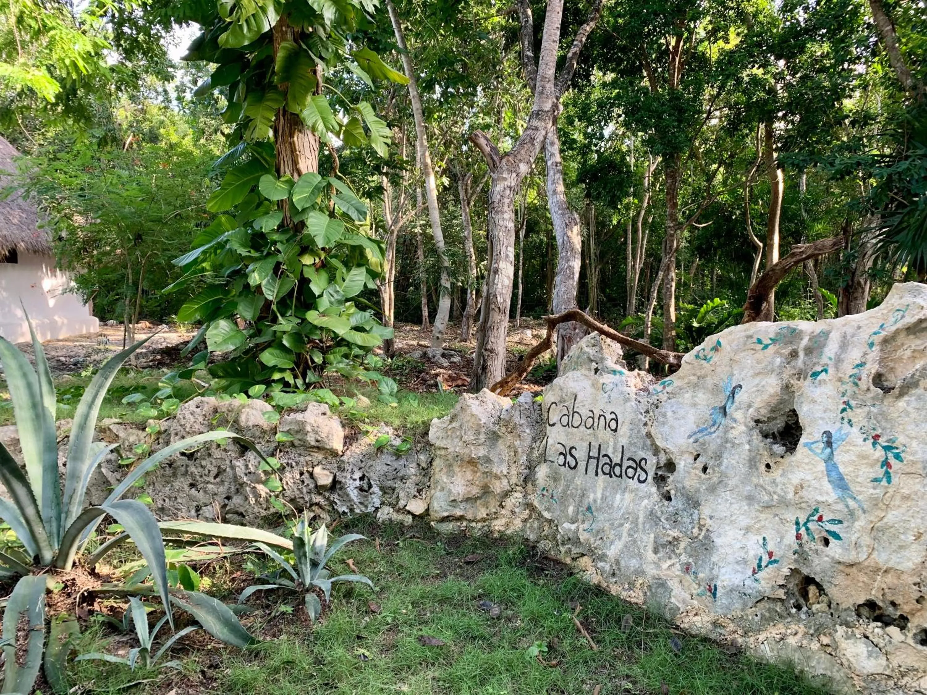 Natural landscape in Villa Morena Boutique Hotel Ecoliving