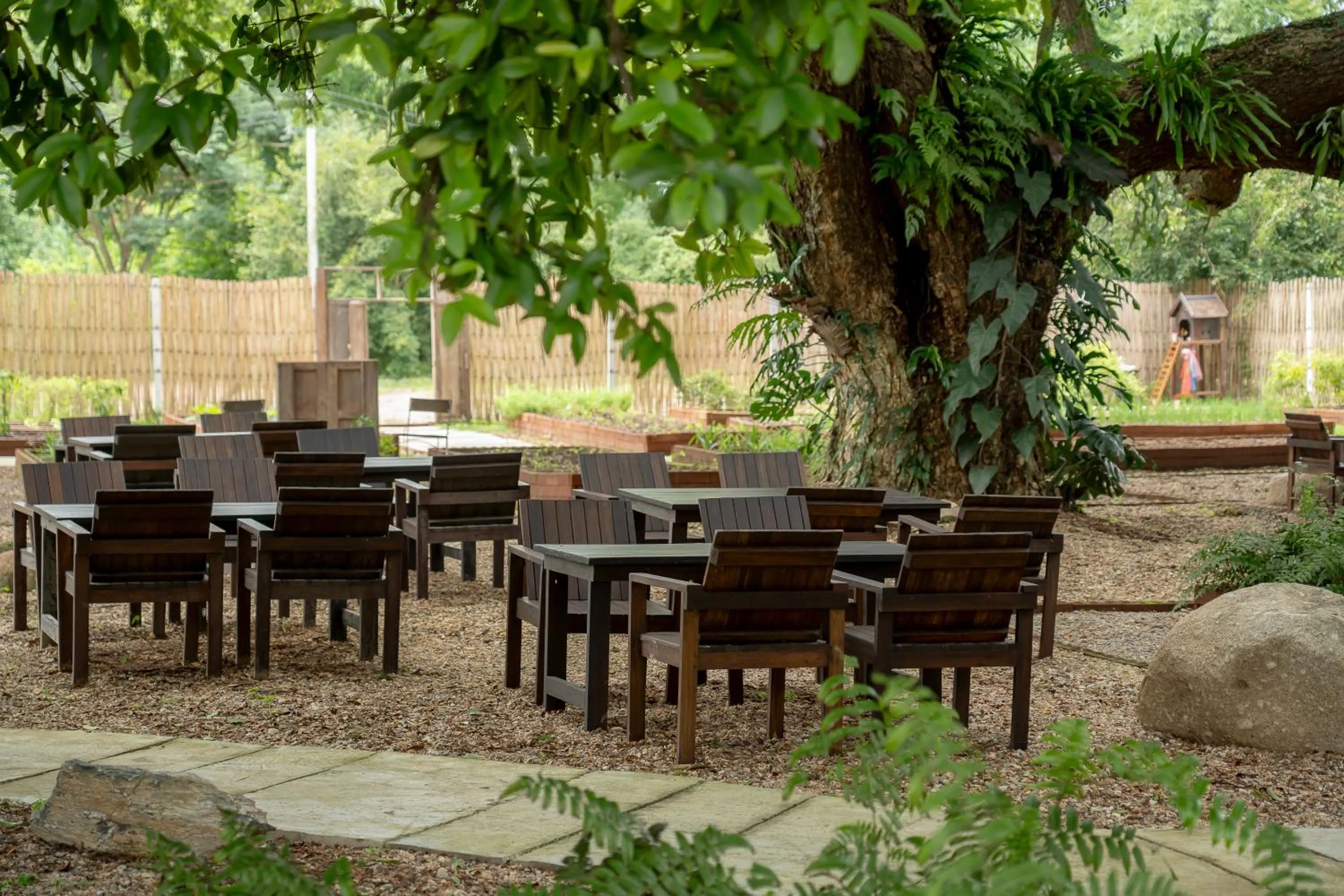 Restaurant/places to eat in Sirin Farm Chiang Rai