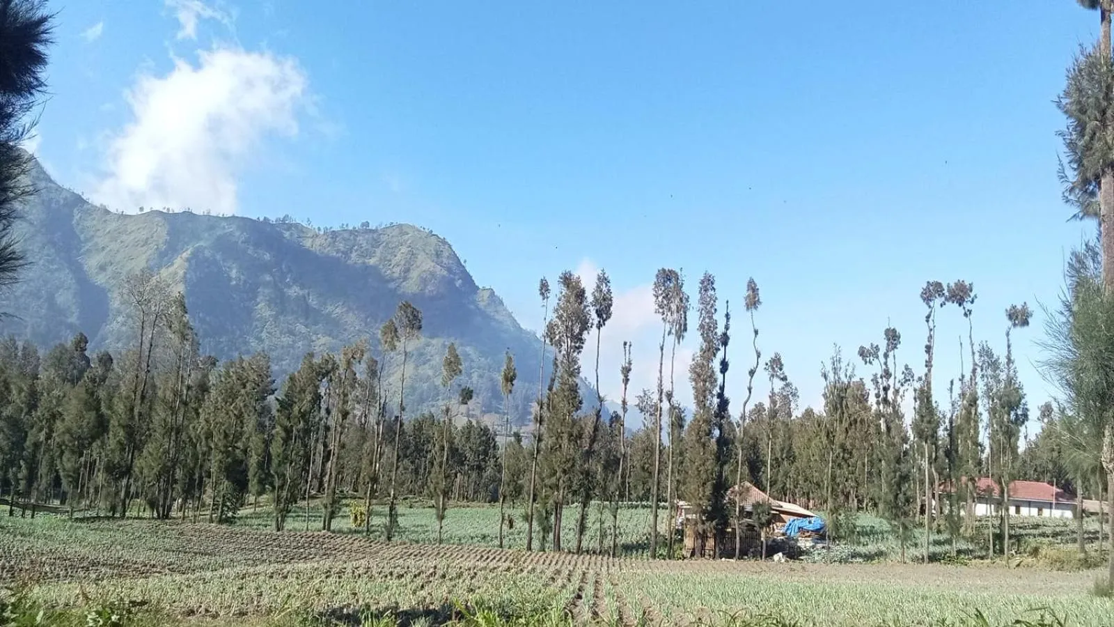 Day in Tengger Indah Seruni Bromo