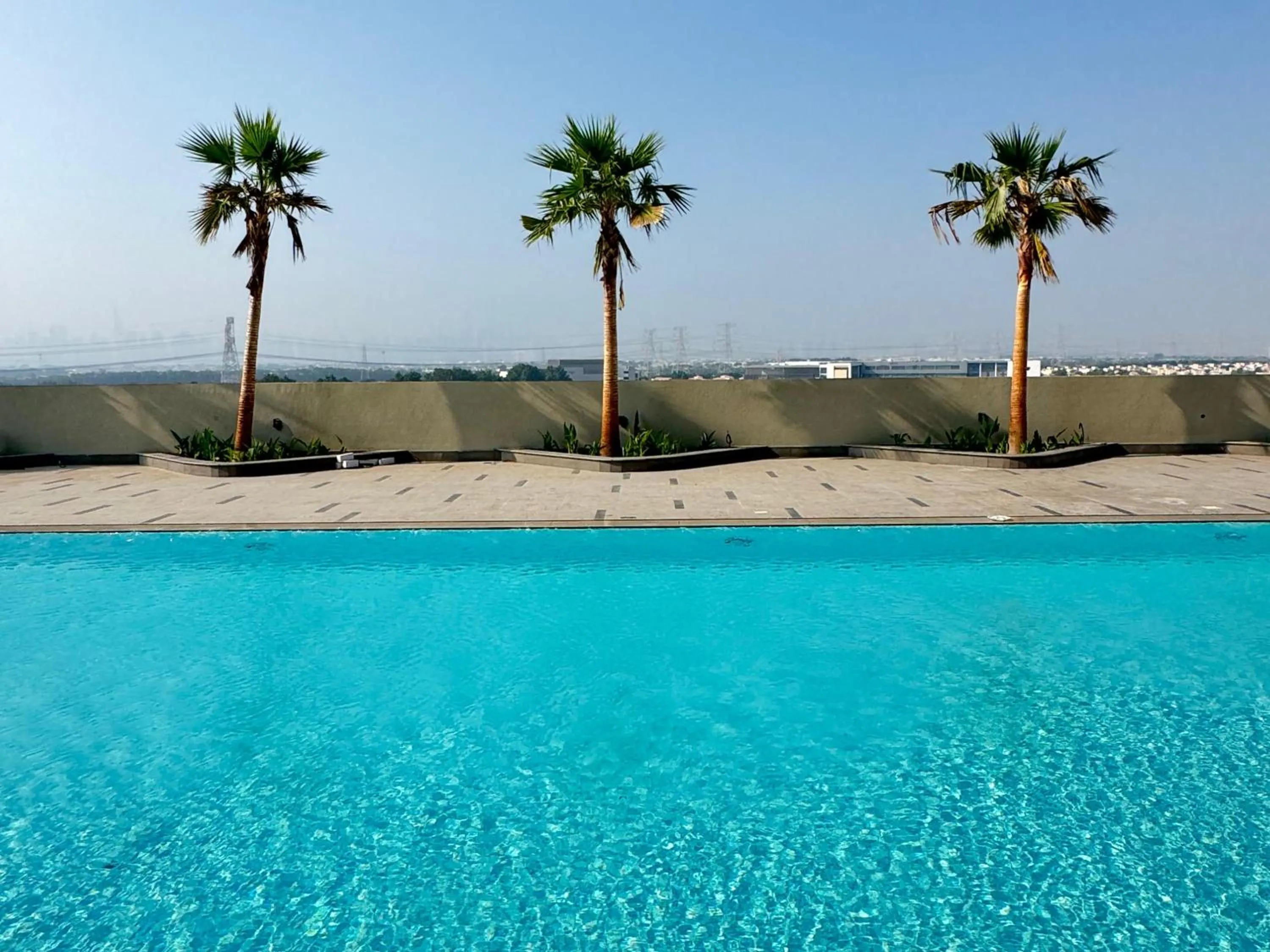 Natural landscape in The Community Jumeirah Village