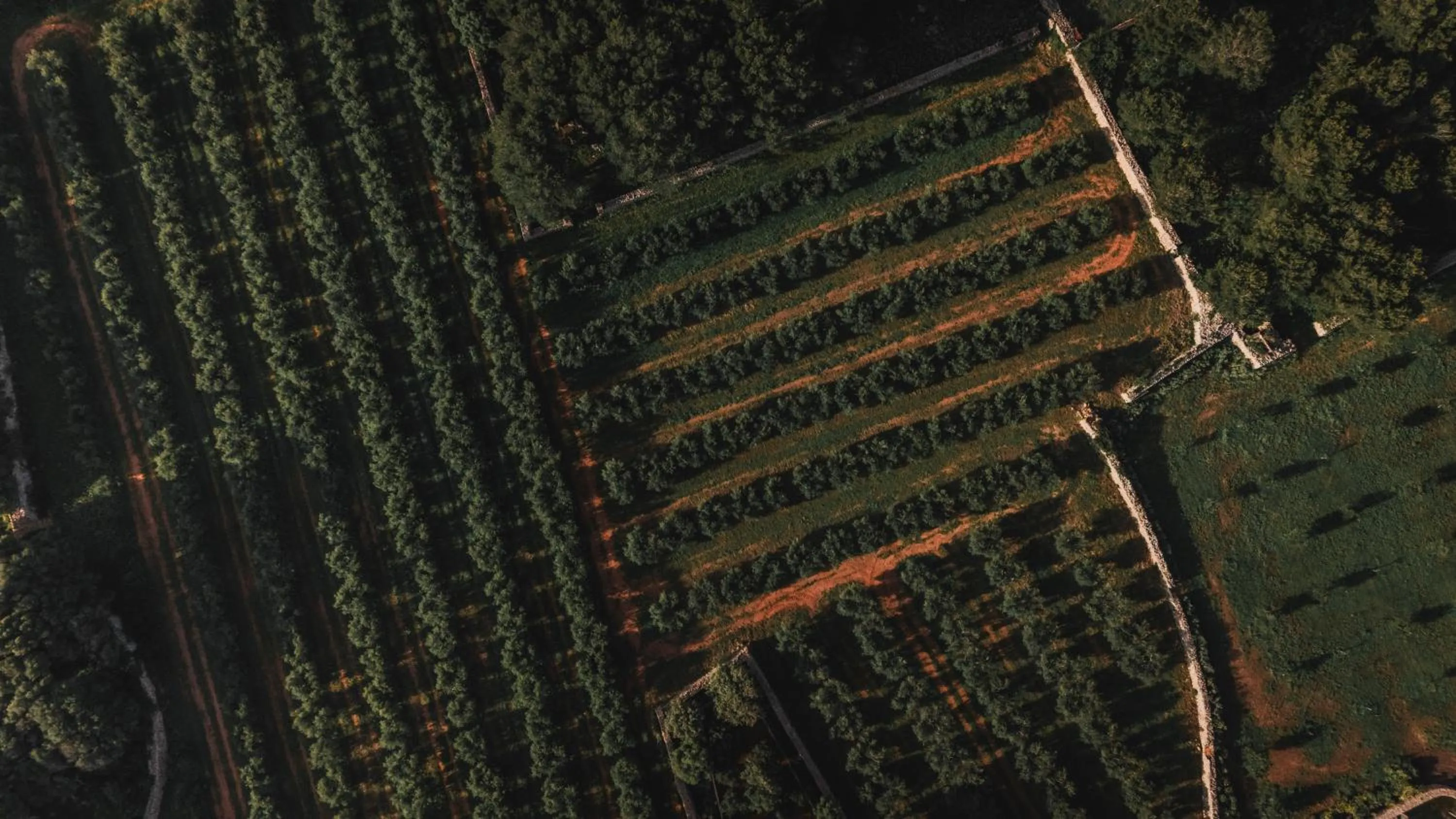 Binissaida Boutique Hotel