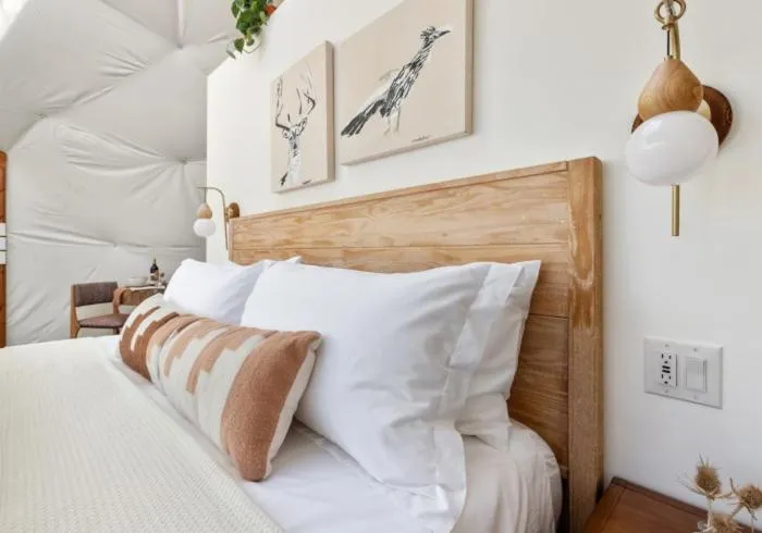 Bed in Onera Fredericksburg