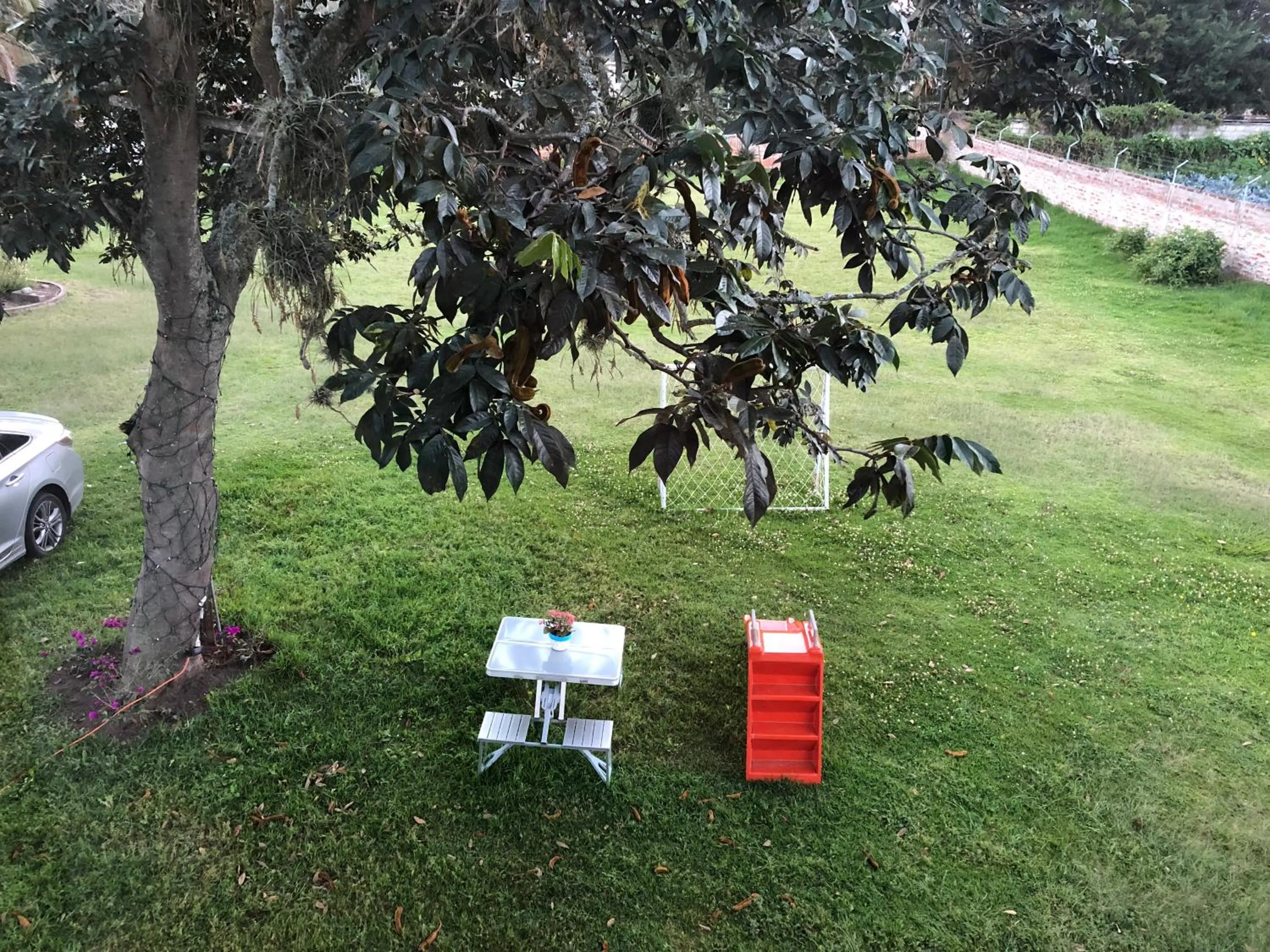Garden in Springhills Quito Airport