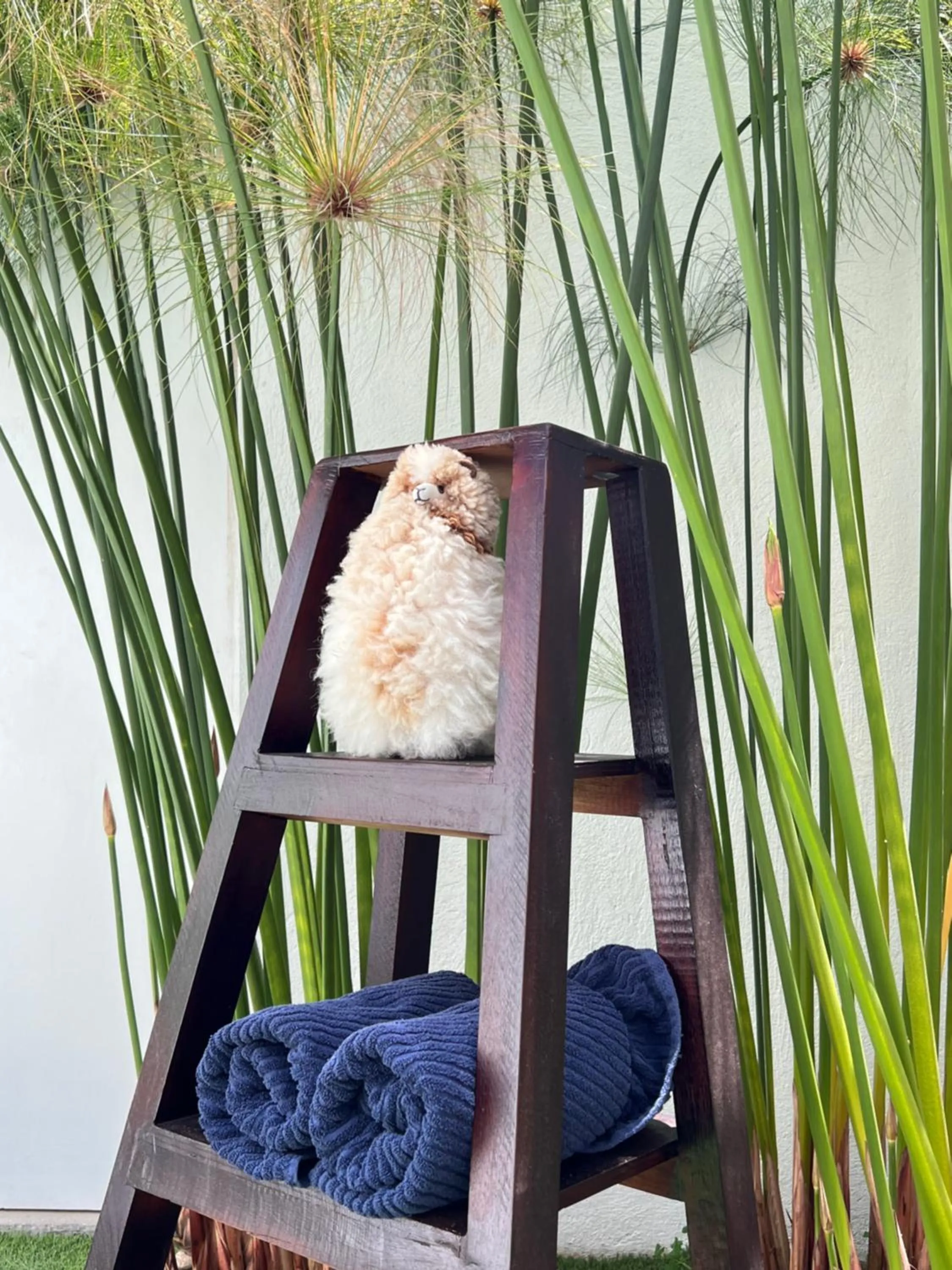 Garden in Springhills Quito Airport