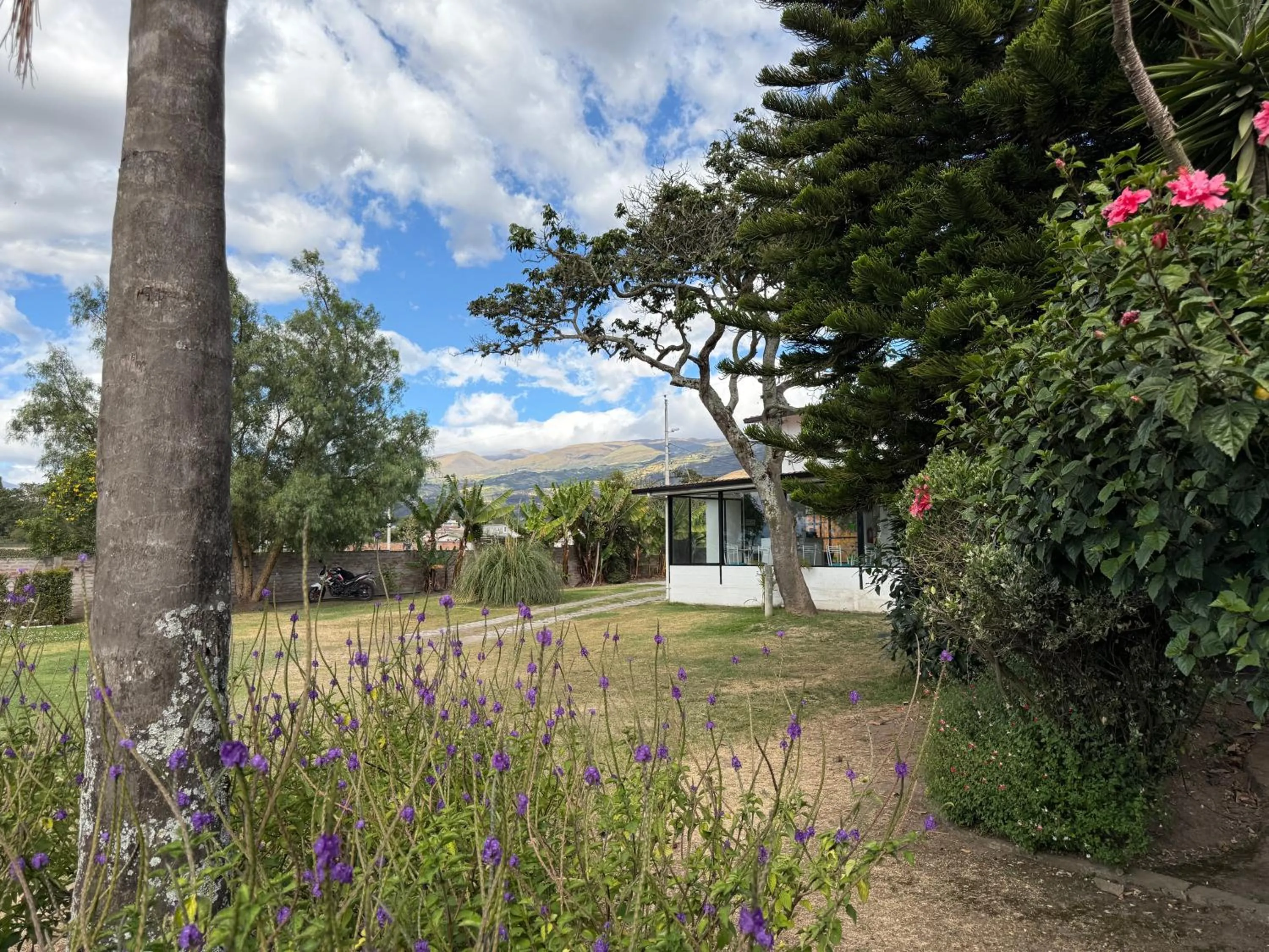 Natural landscape in Springhills Quito Airport