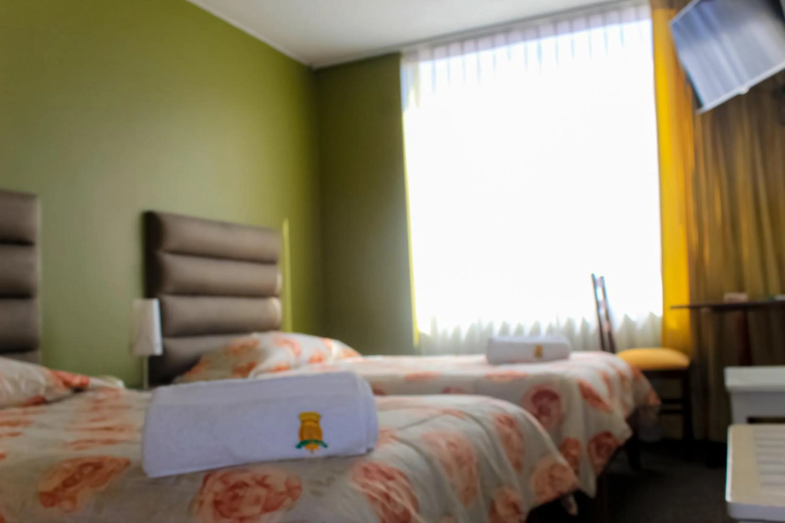 Twin Room in Hotel San Felipe Suites