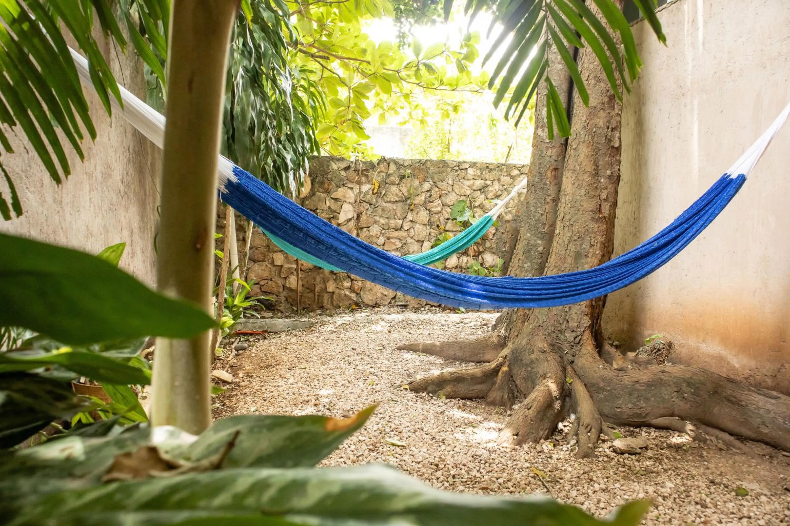 Off site in Hotel Tunich Naj & Hostal