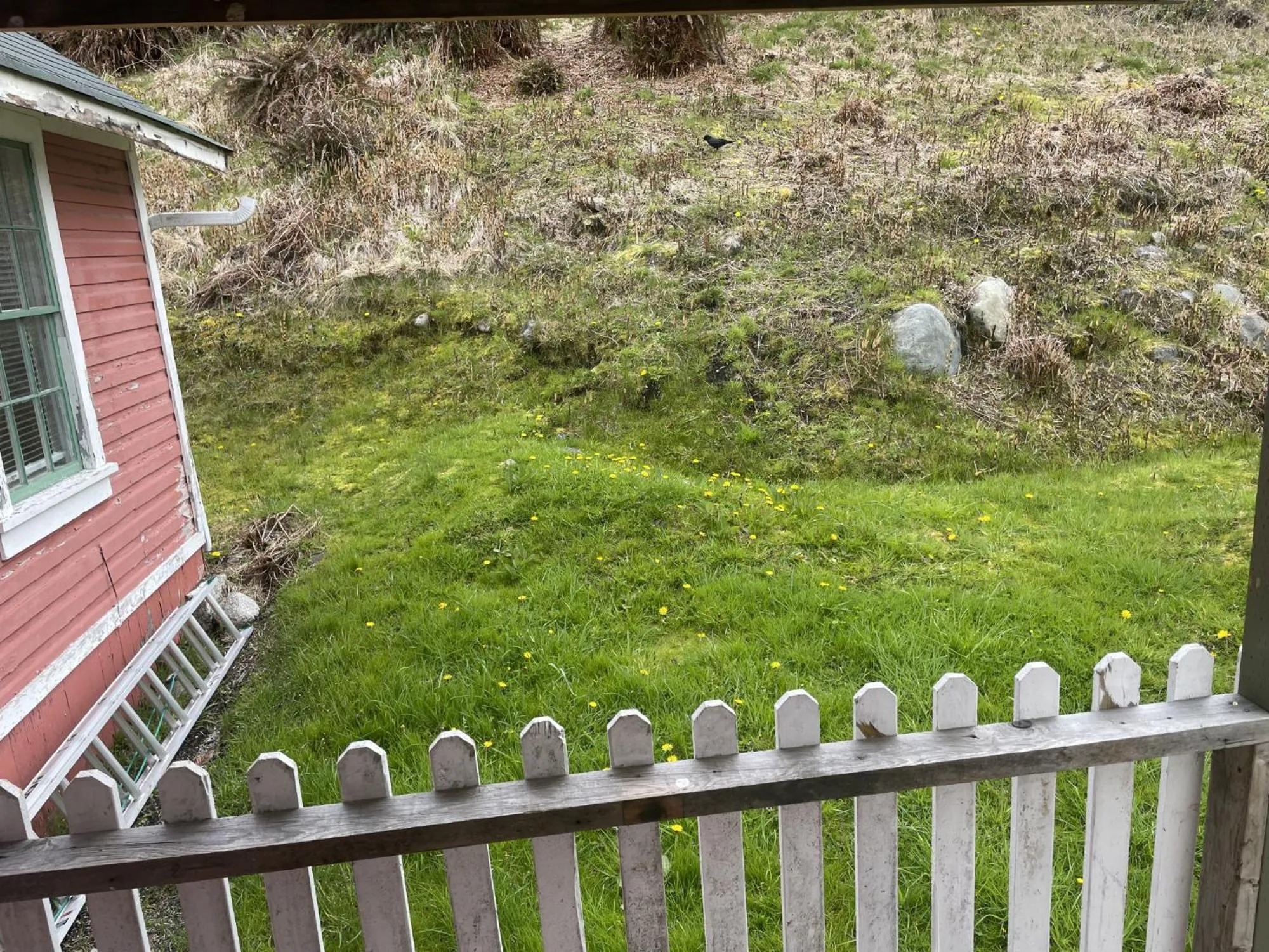 Natural landscape in Seine Boat Inn