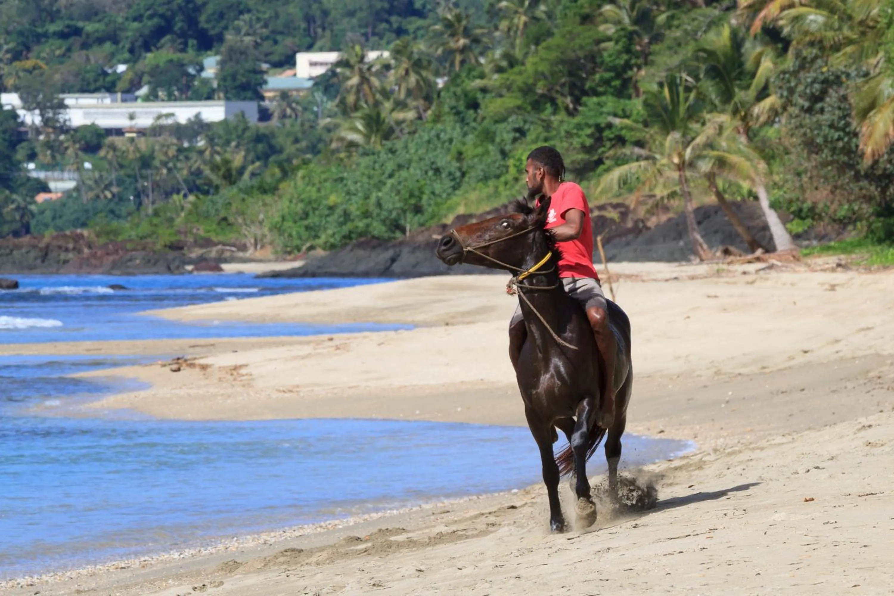 Horse-riding in Hotel Tieti