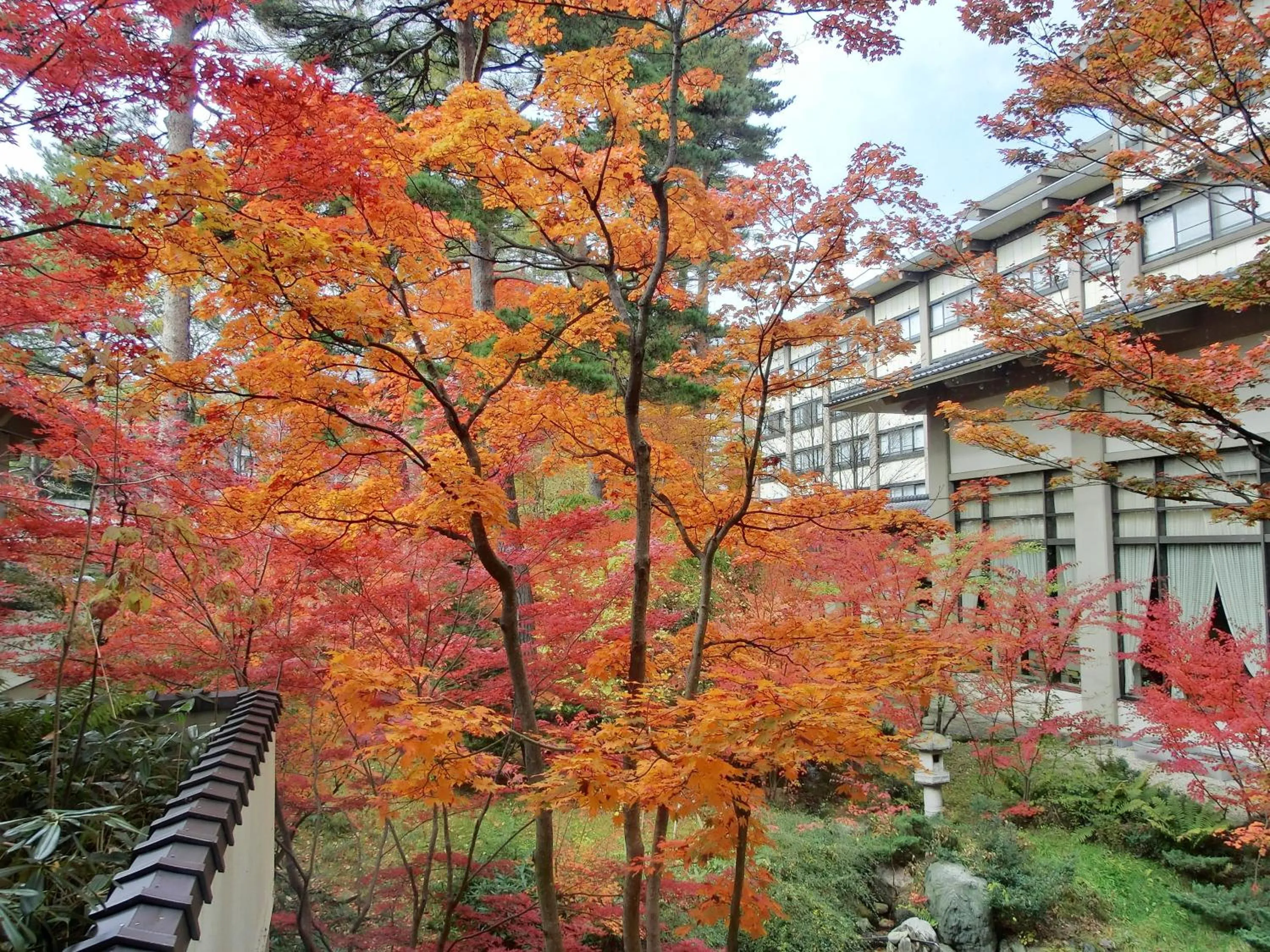 View (from property/room) in Hotel Sakurai