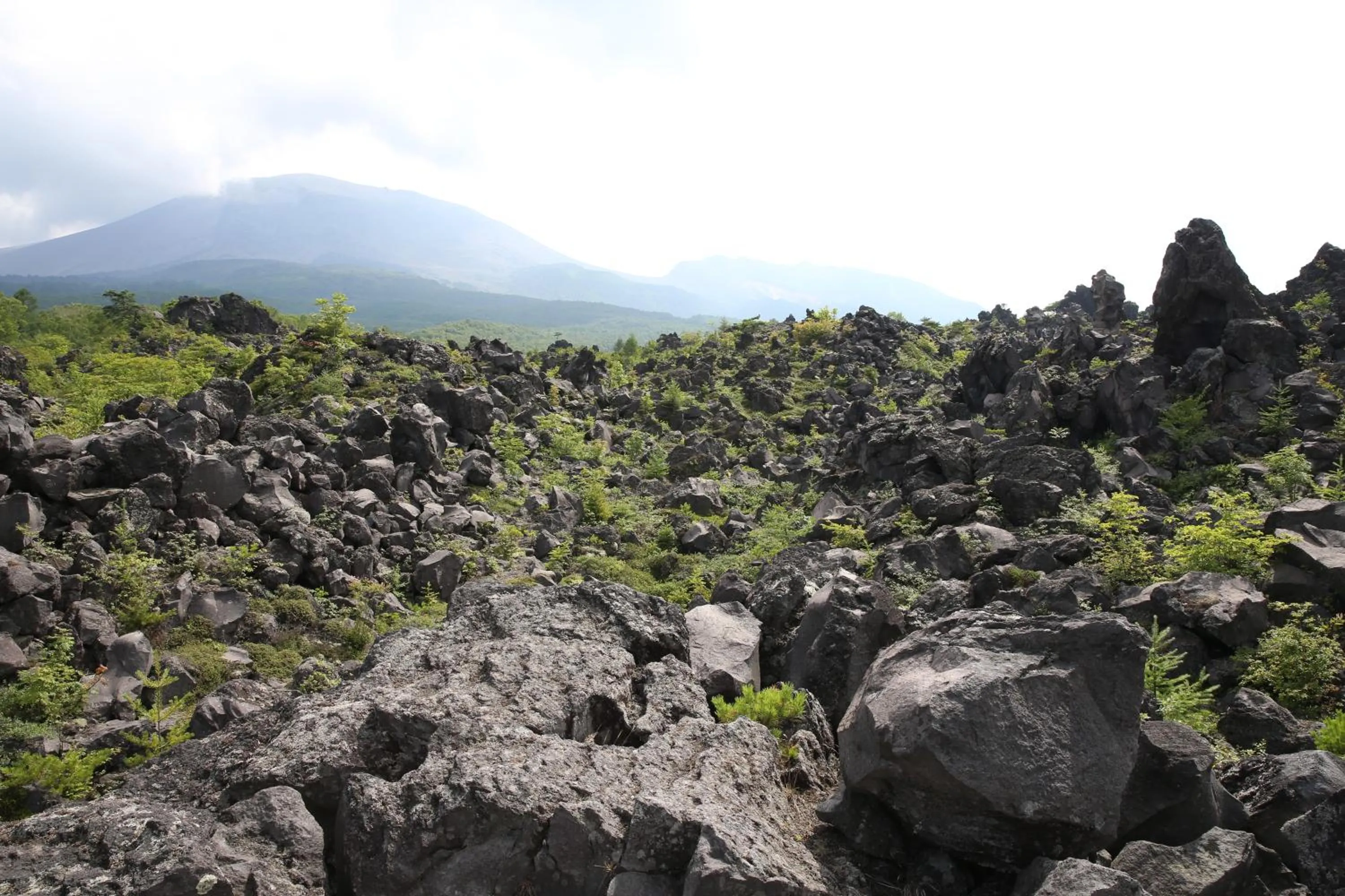 Nearby landmark in Hotel Sakurai