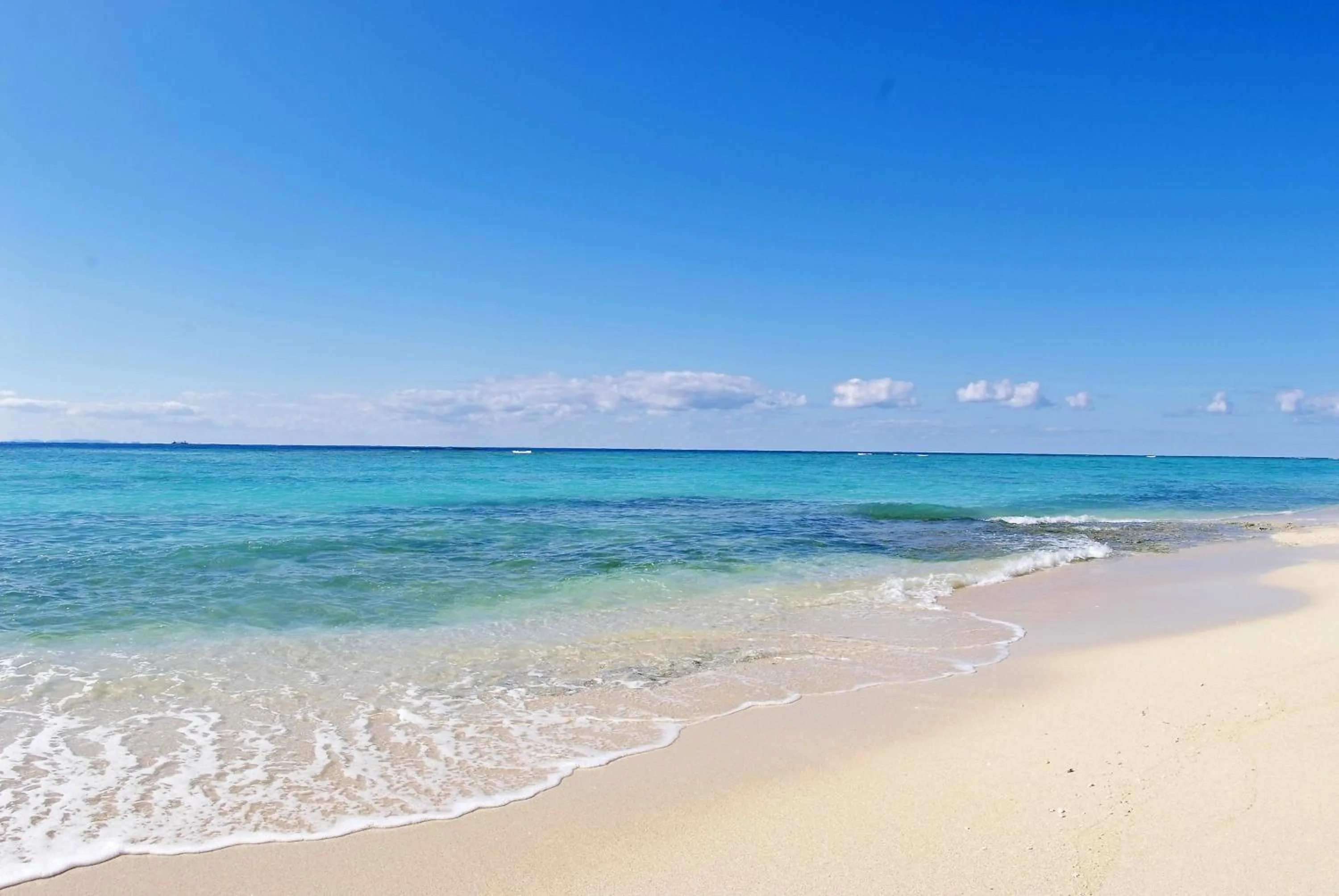 Beach in Beach Resort Morimar