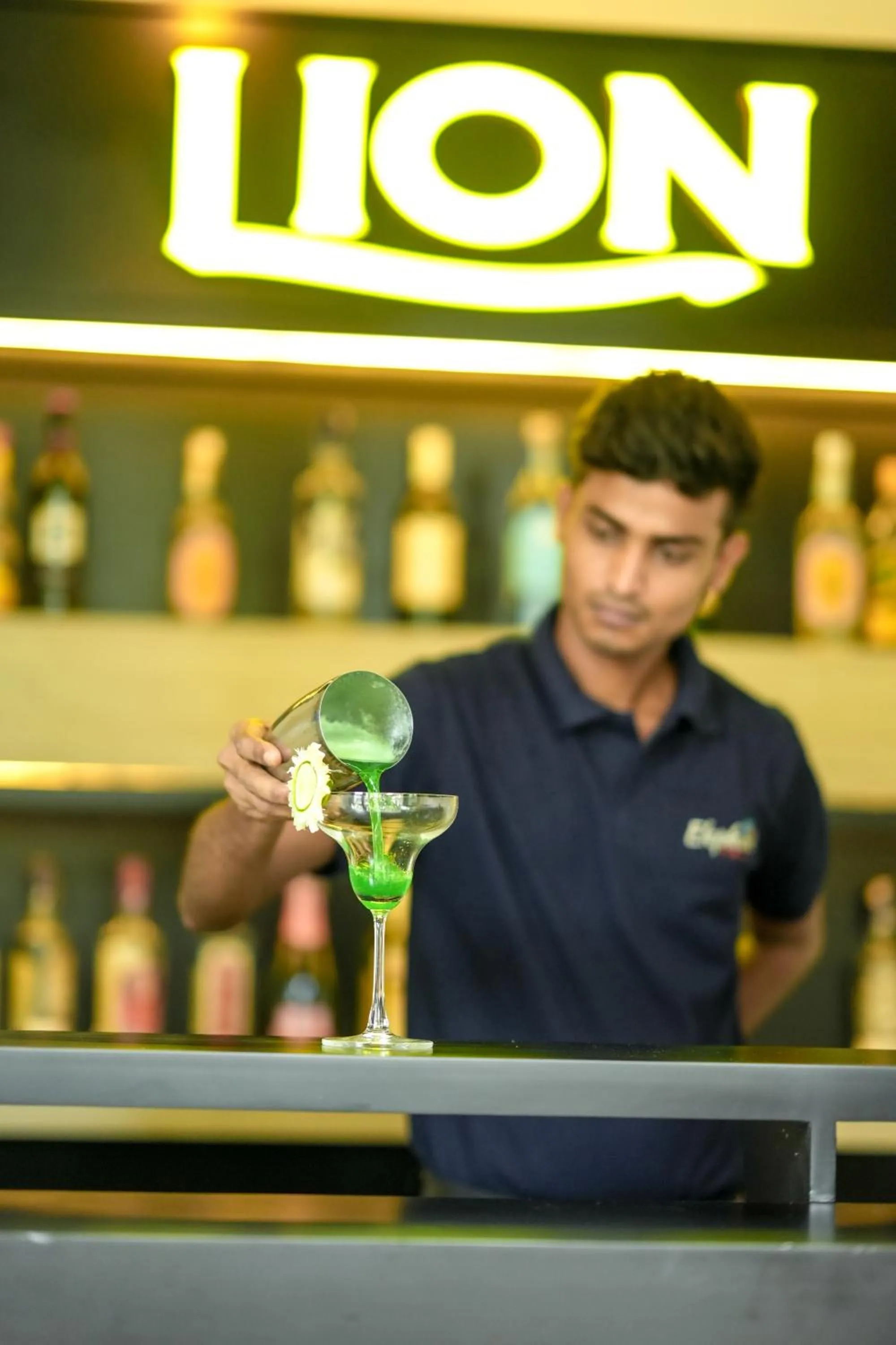 Lounge or bar in Elephant Trail