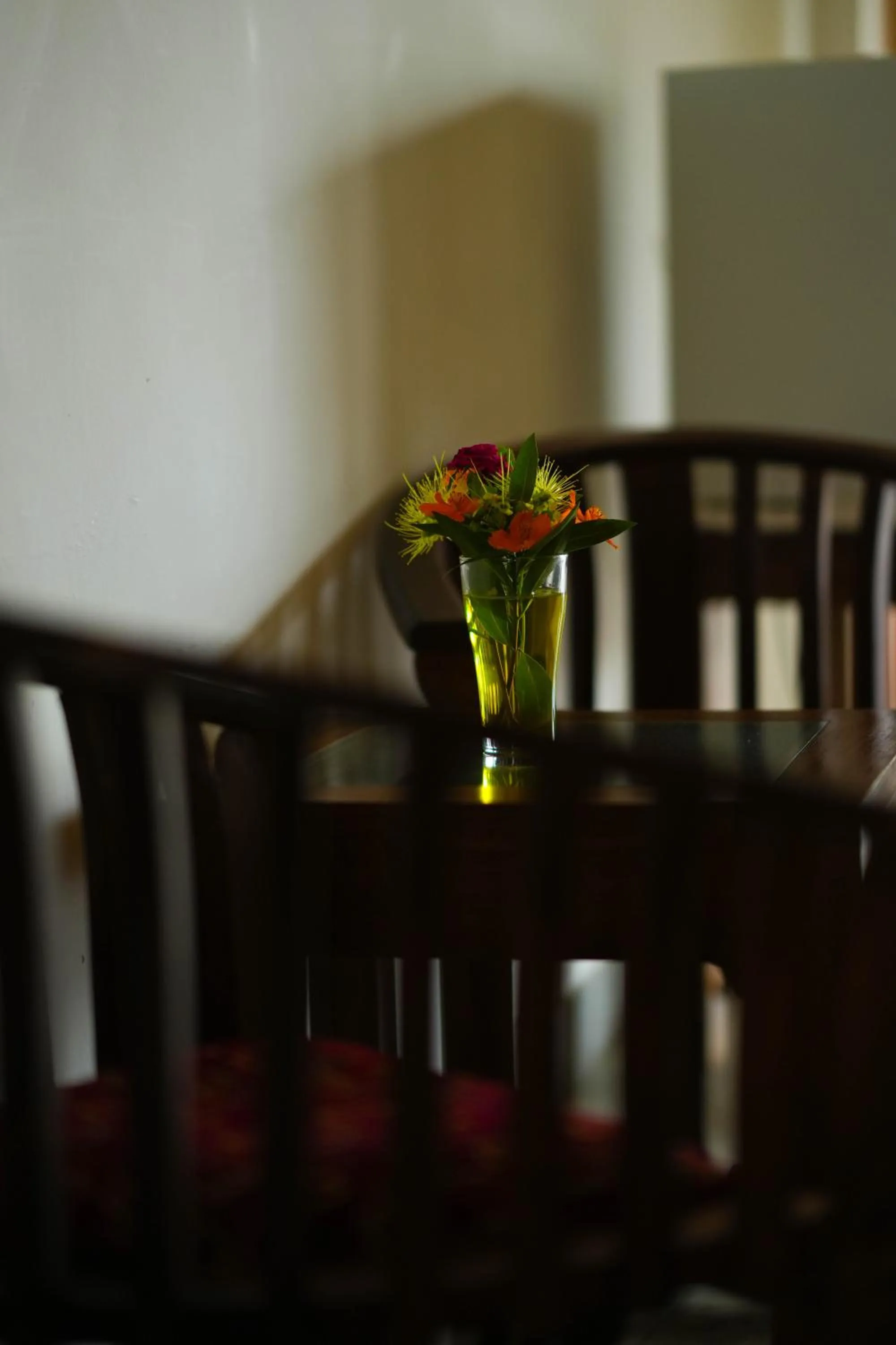 Dining area in Elephant Trail