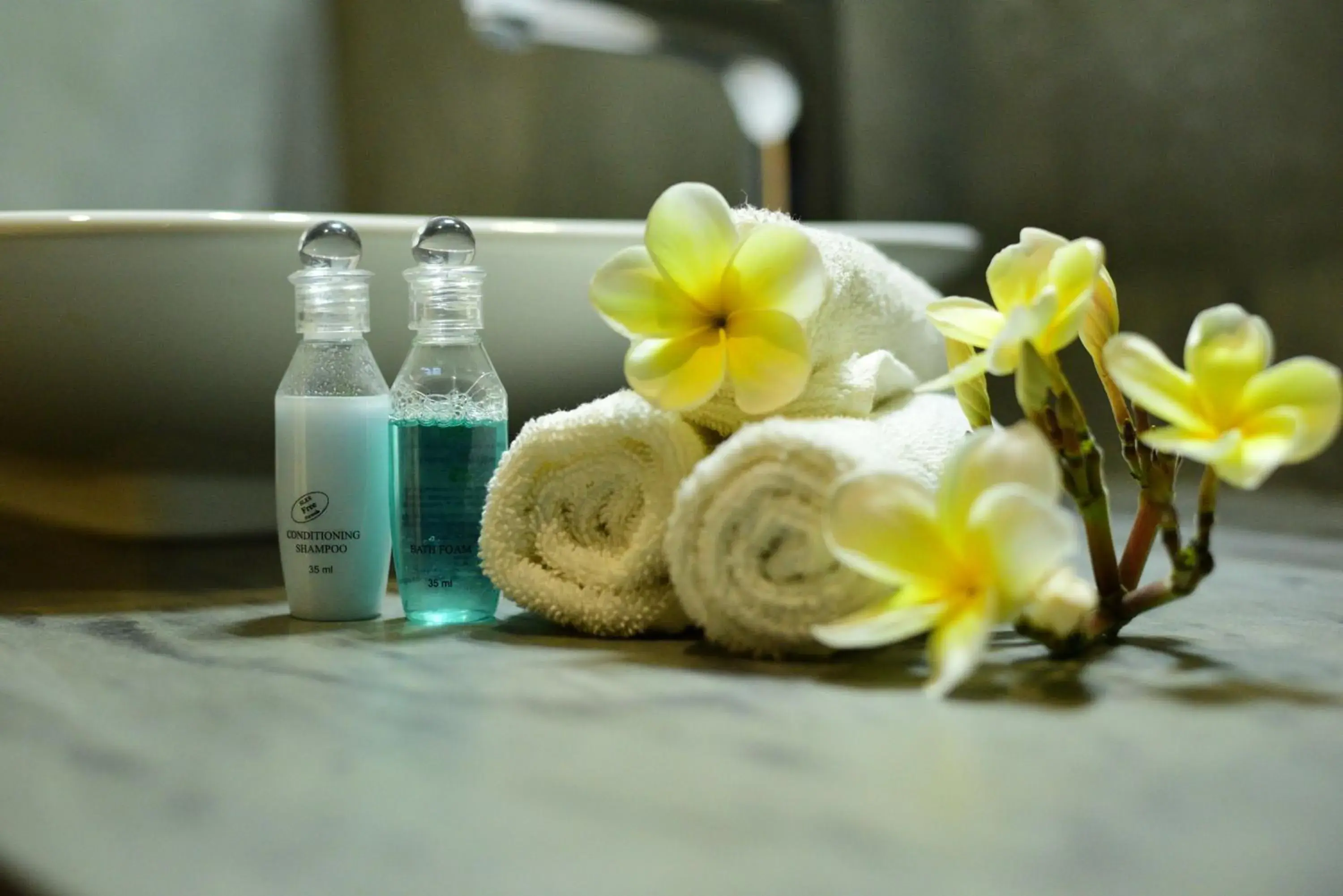 Standard Deluxe Room with Safari - single occupancy in Elephant Trail Standard Deluxe Room with Safari - single occupancy in Elephant Trail