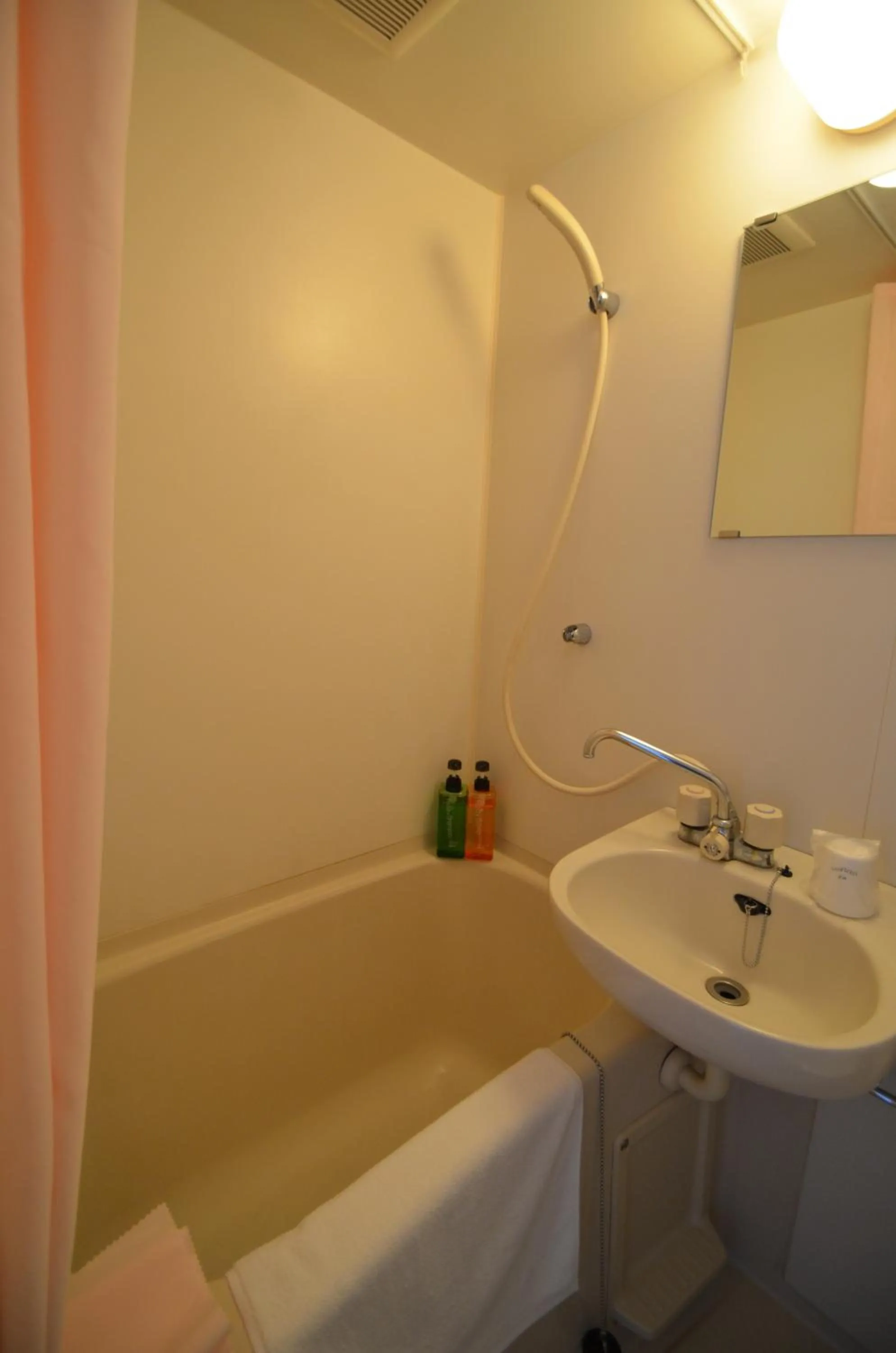 Bathroom in Hotel Select Inn Saitama Moroyama