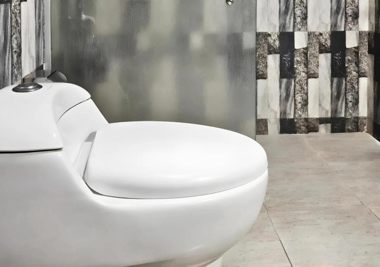 Toilet in Hotel Air Inn Dhaka - Airport View