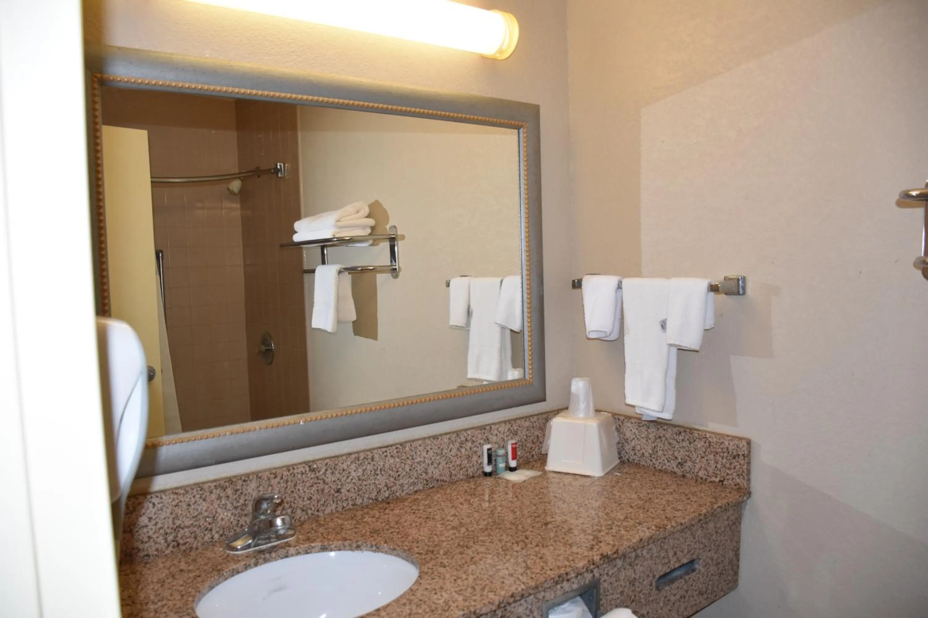 Bathroom in Moonlight Inn Hotel O Hattiesburg, MS