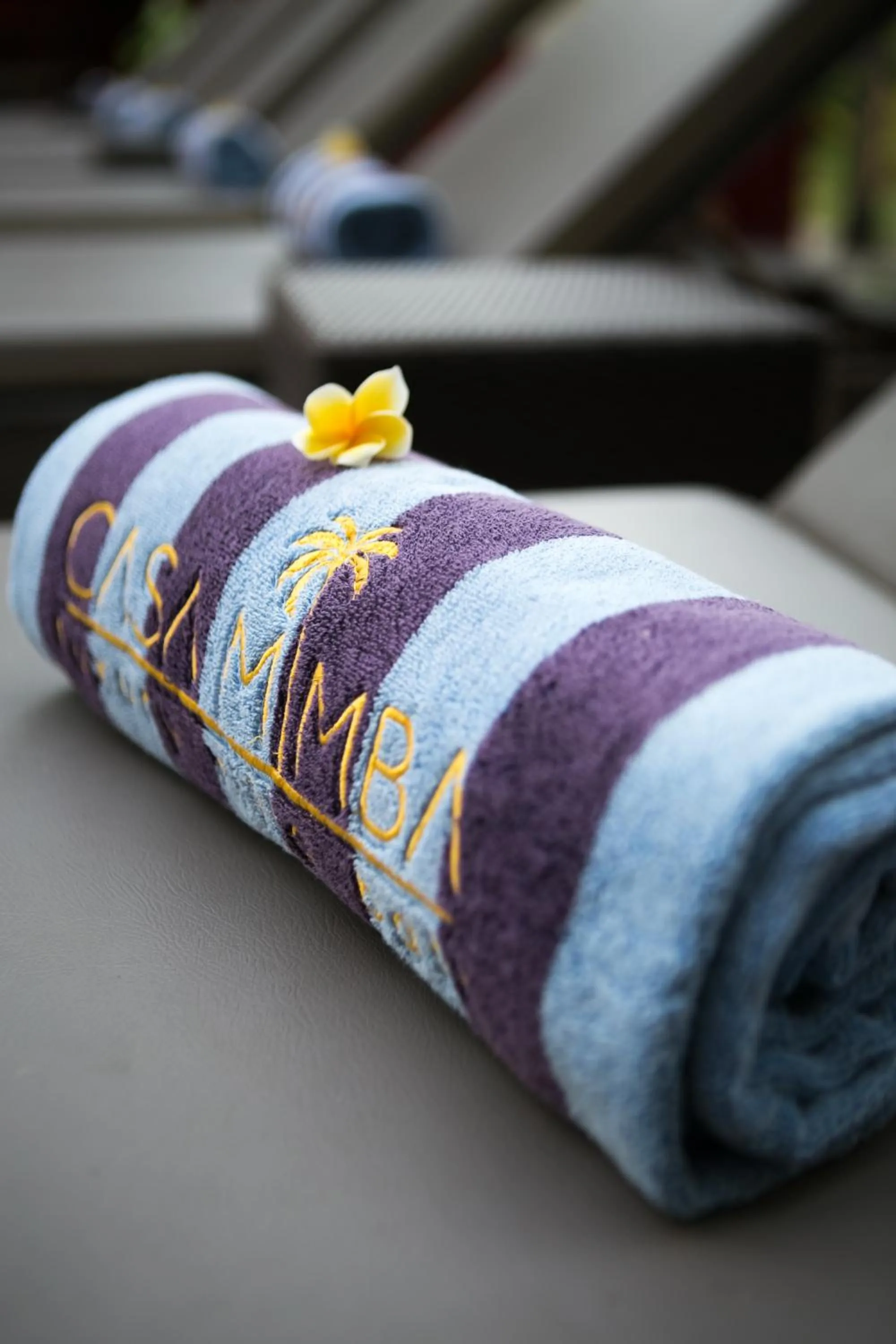 Swimming pool in CASA MIMBA - Seaview Private Pool Villa Padangbai