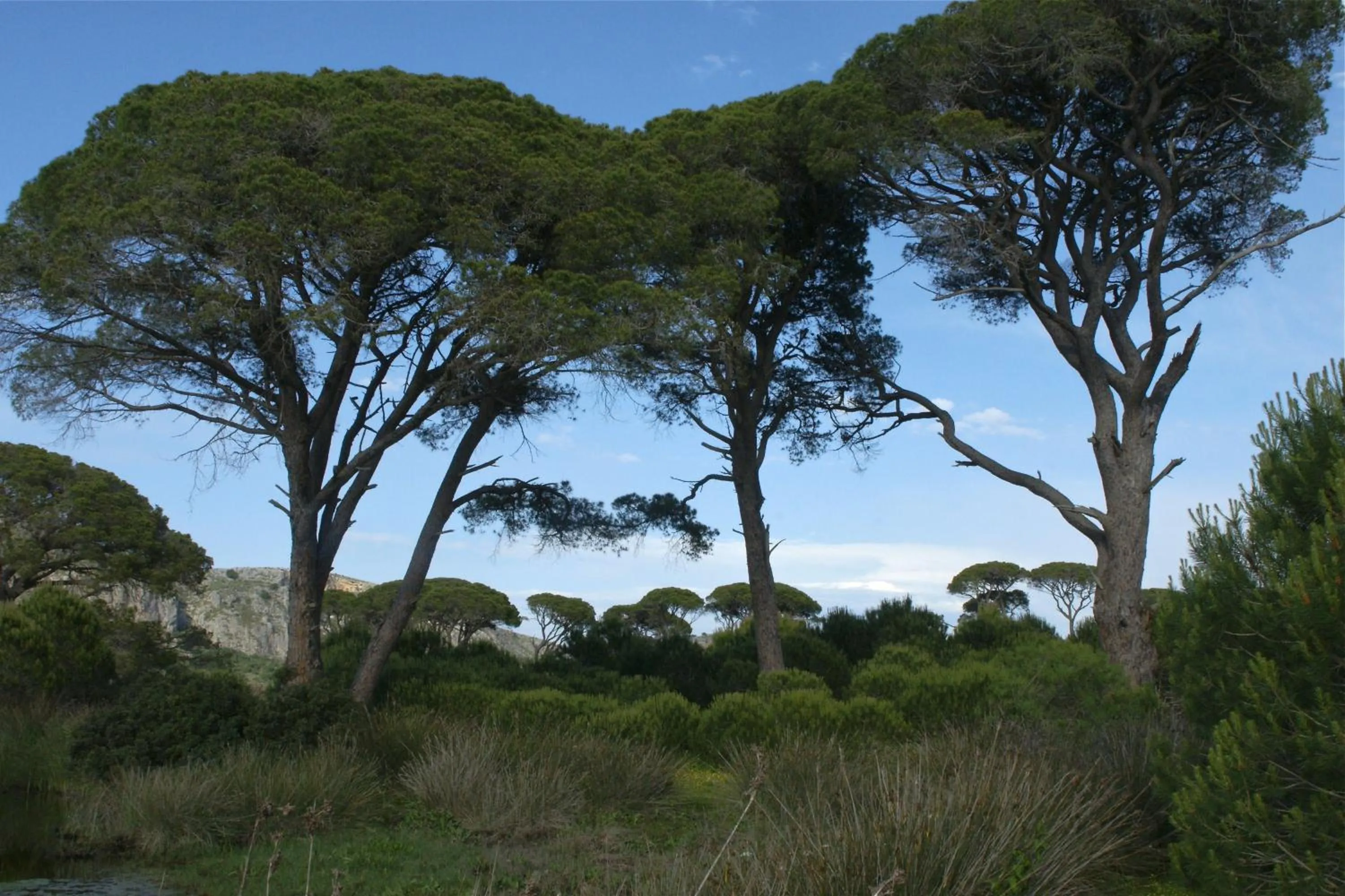 Verde Al Mare Boutique Hotel