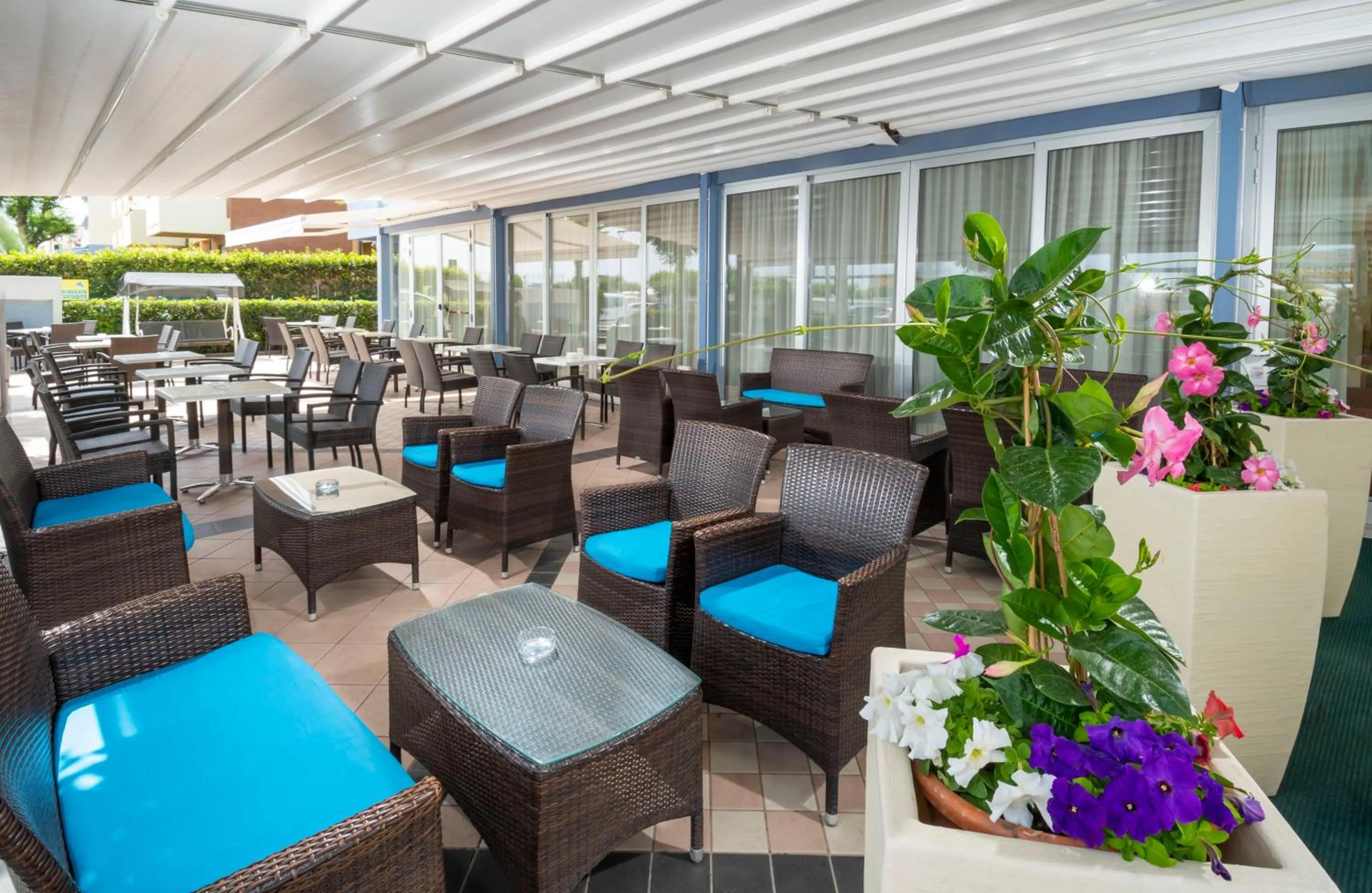 Garden in Hotel Odeon