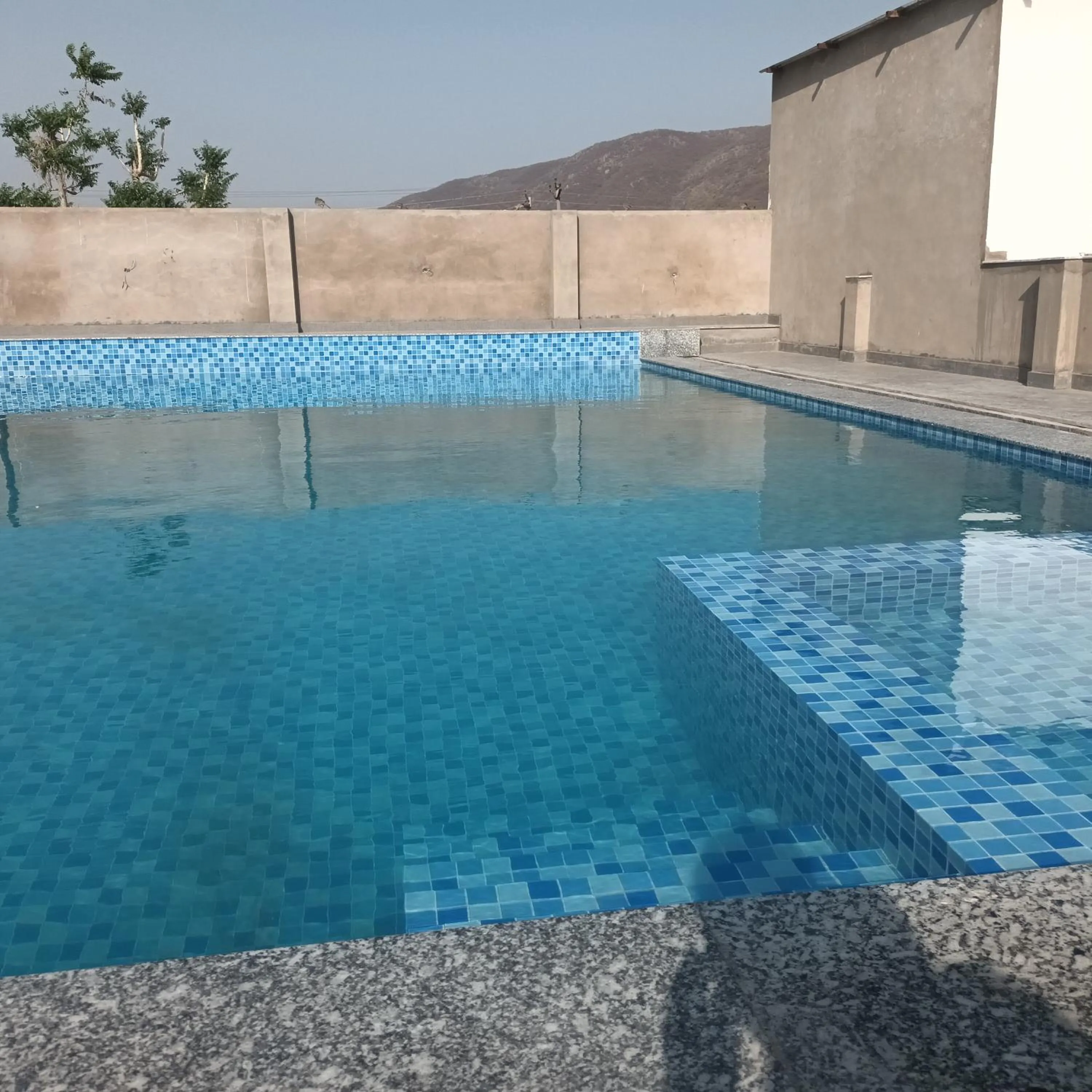 Pool view in Braham Vatika Resort