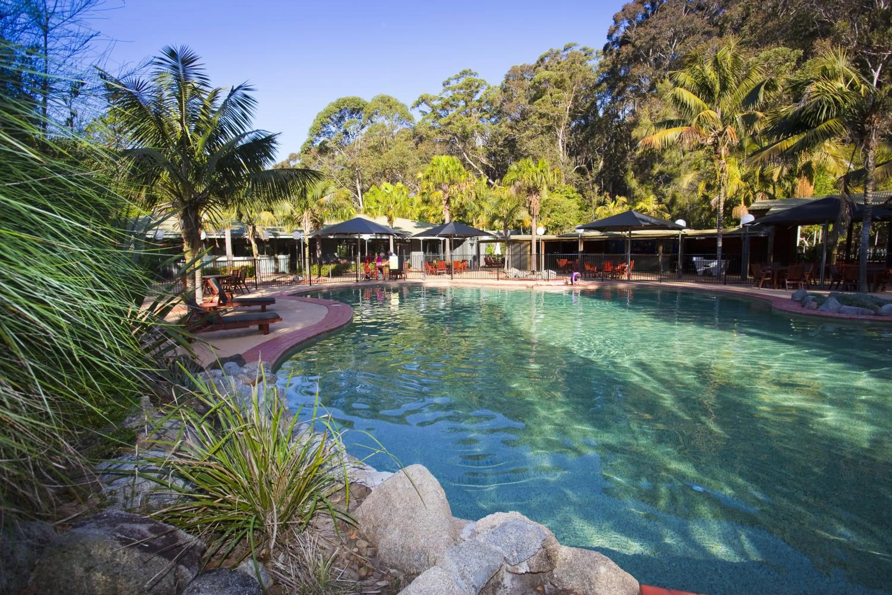 Swimming pool in NRMA Murramarang Beachfront Holiday Resort