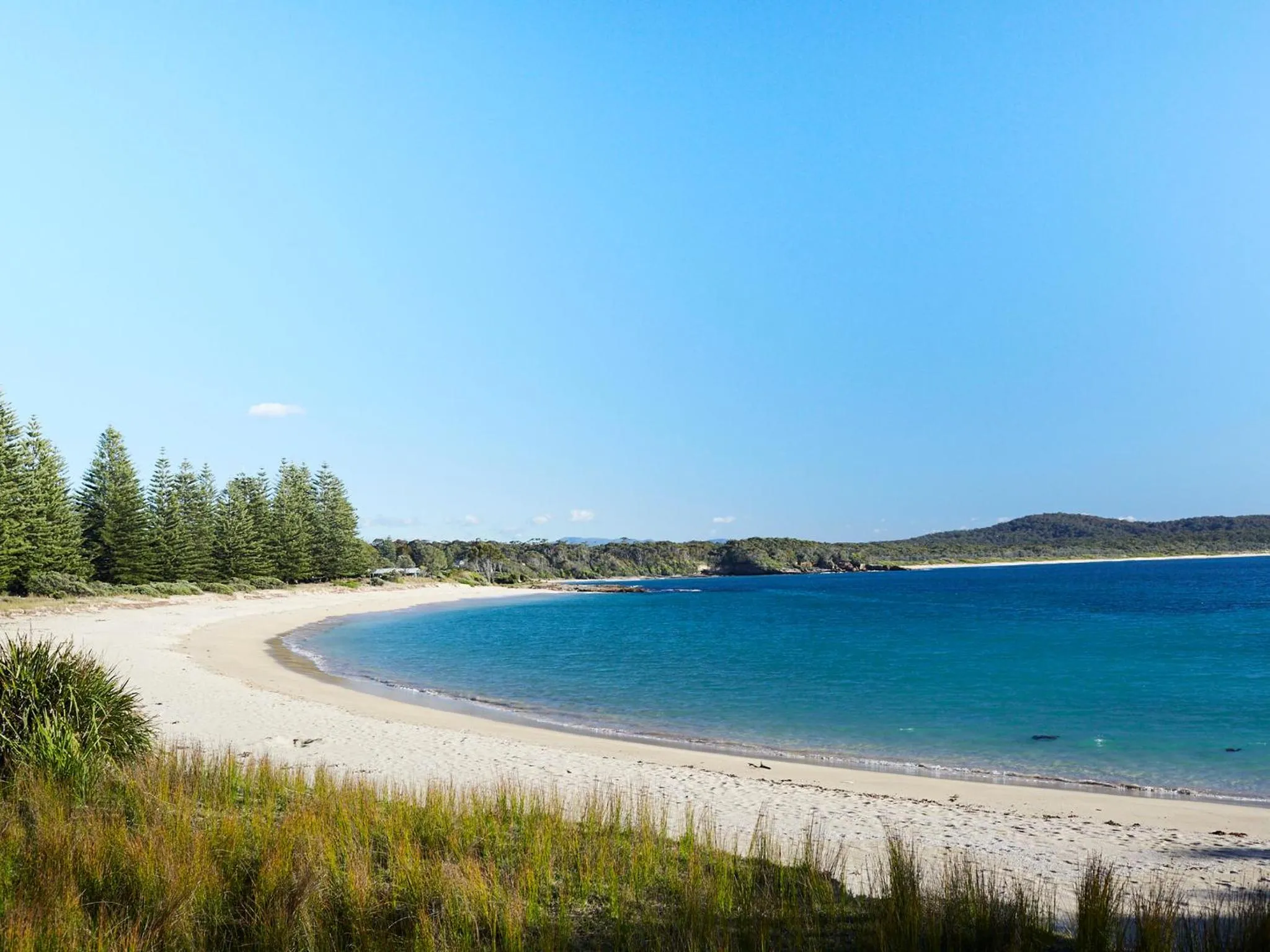Beach in NRMA Murramarang Beachfront Holiday Resort
