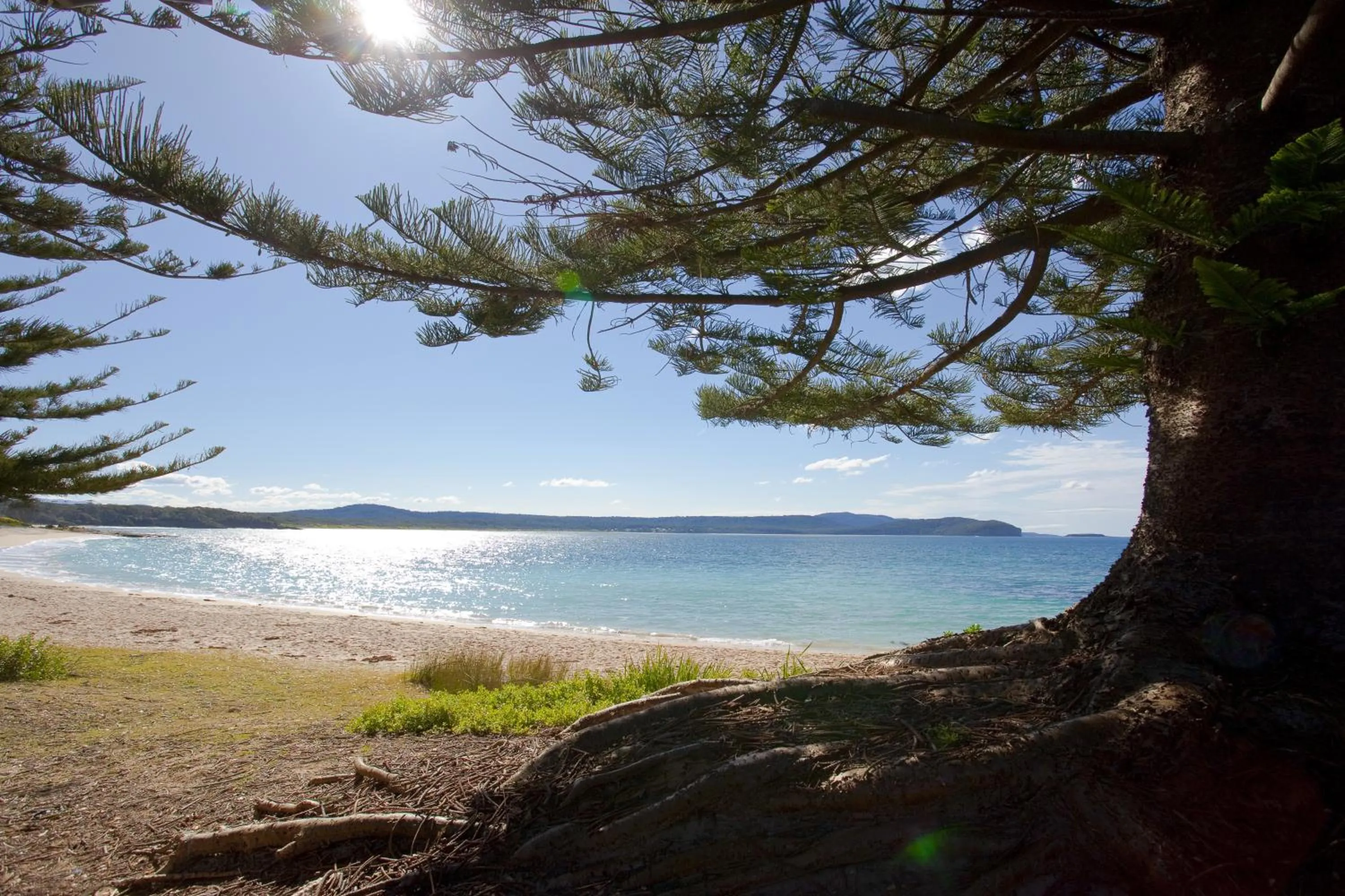 Area and facilities in NRMA Murramarang Beachfront Holiday Resort