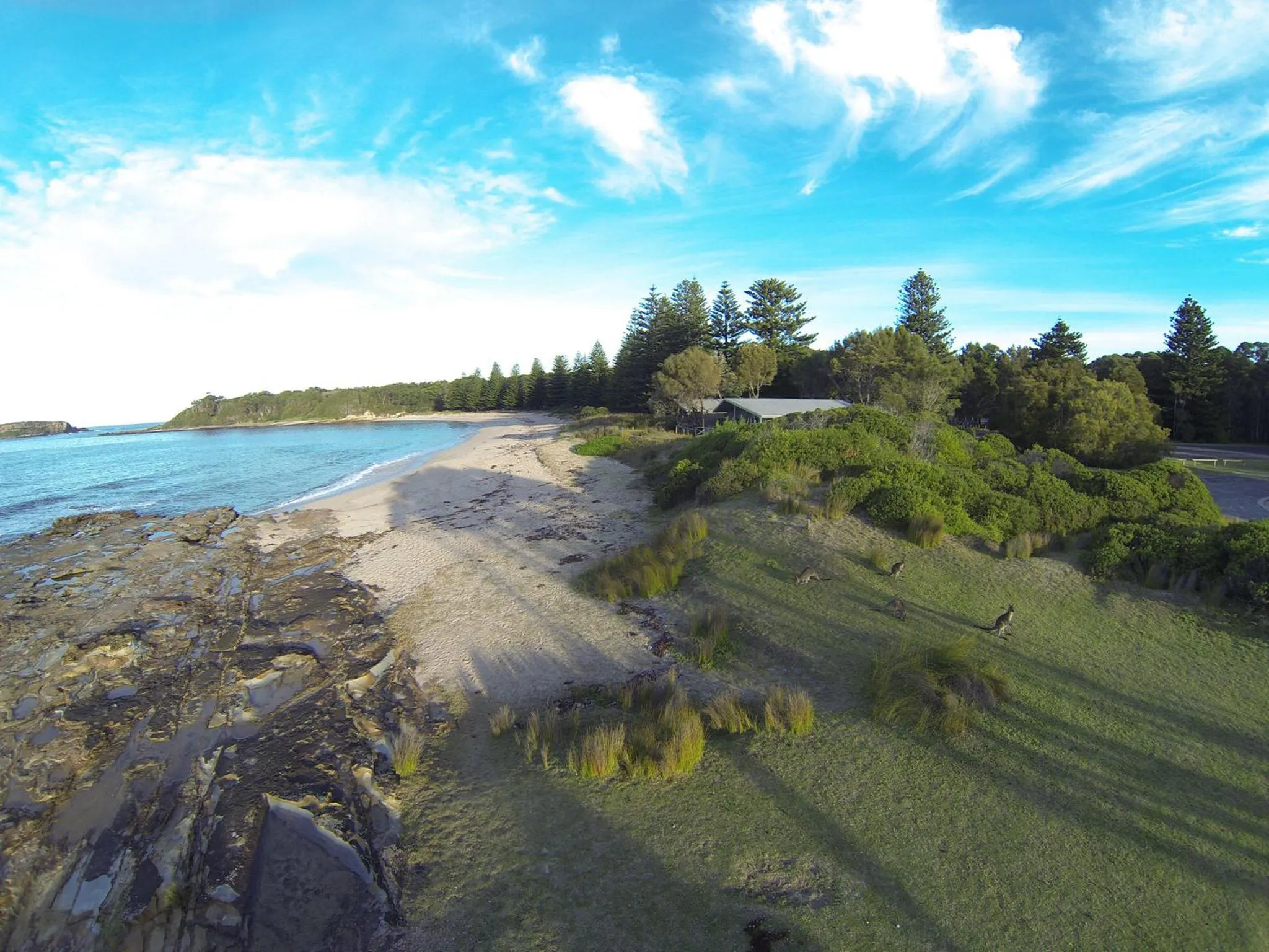Beach in NRMA Murramarang Beachfront Holiday Resort