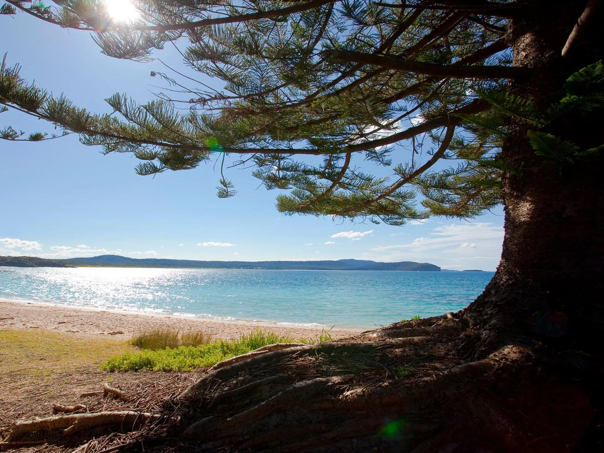 Beach in NRMA Murramarang Beachfront Holiday Resort