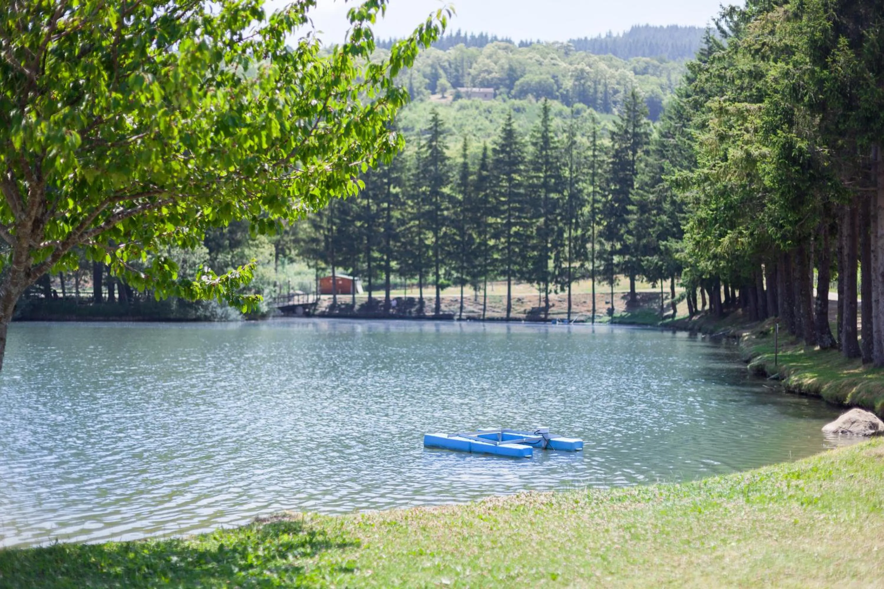 Natural landscape in Hotel Miramonti