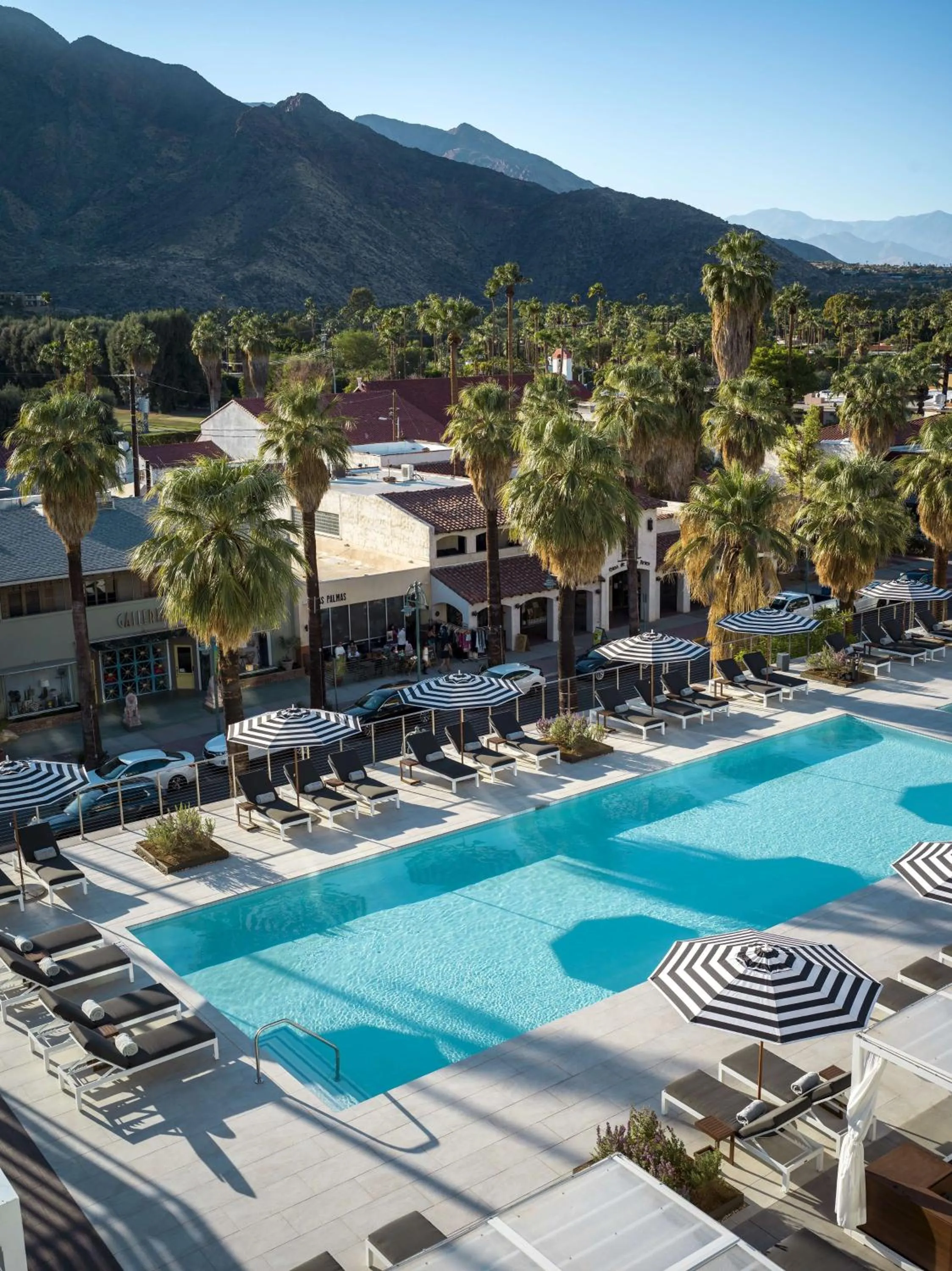 Swimming pool in Thompson Palm Springs, By Hyatt