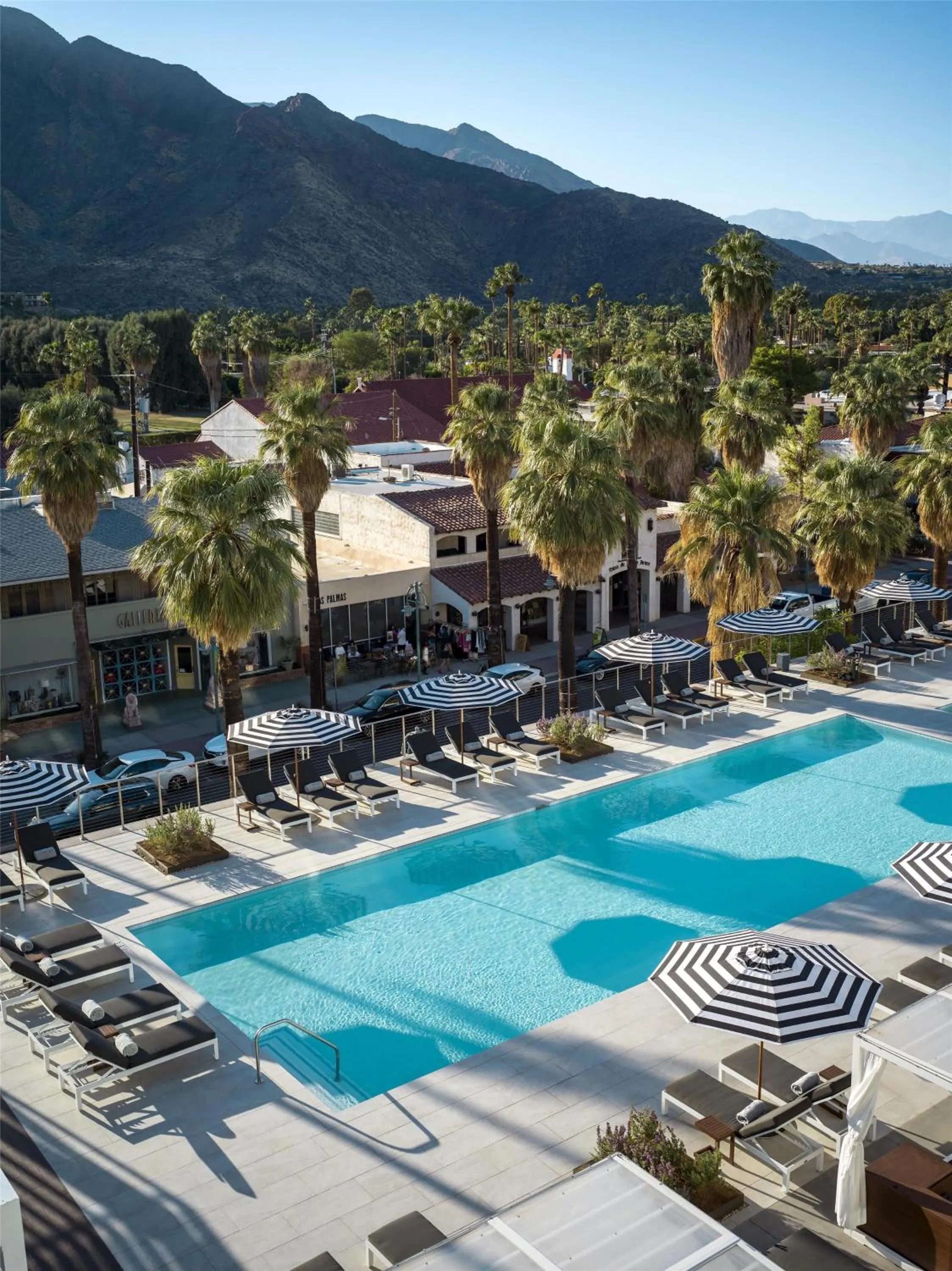 Swimming pool in Thompson Palm Springs, By Hyatt