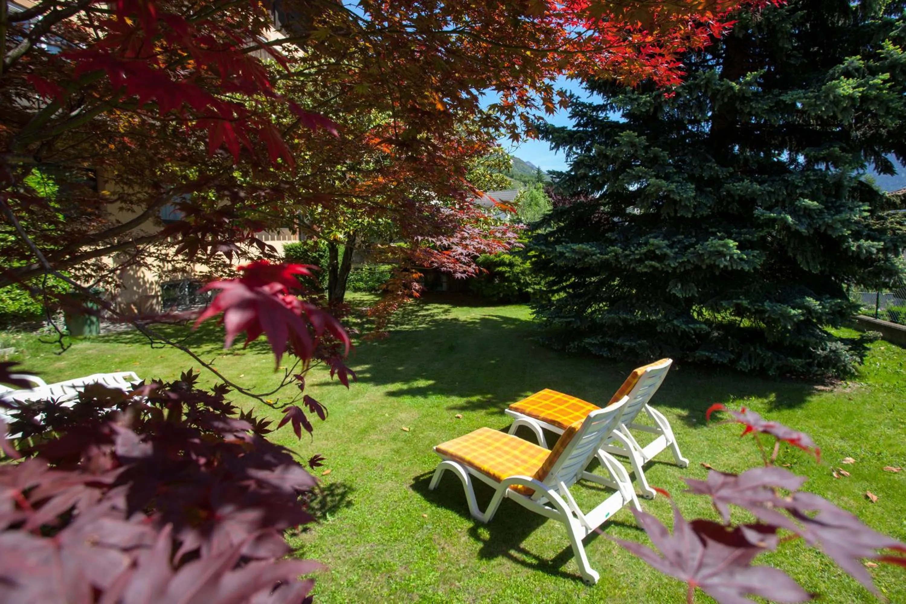 Garden in Hotel Weingarten