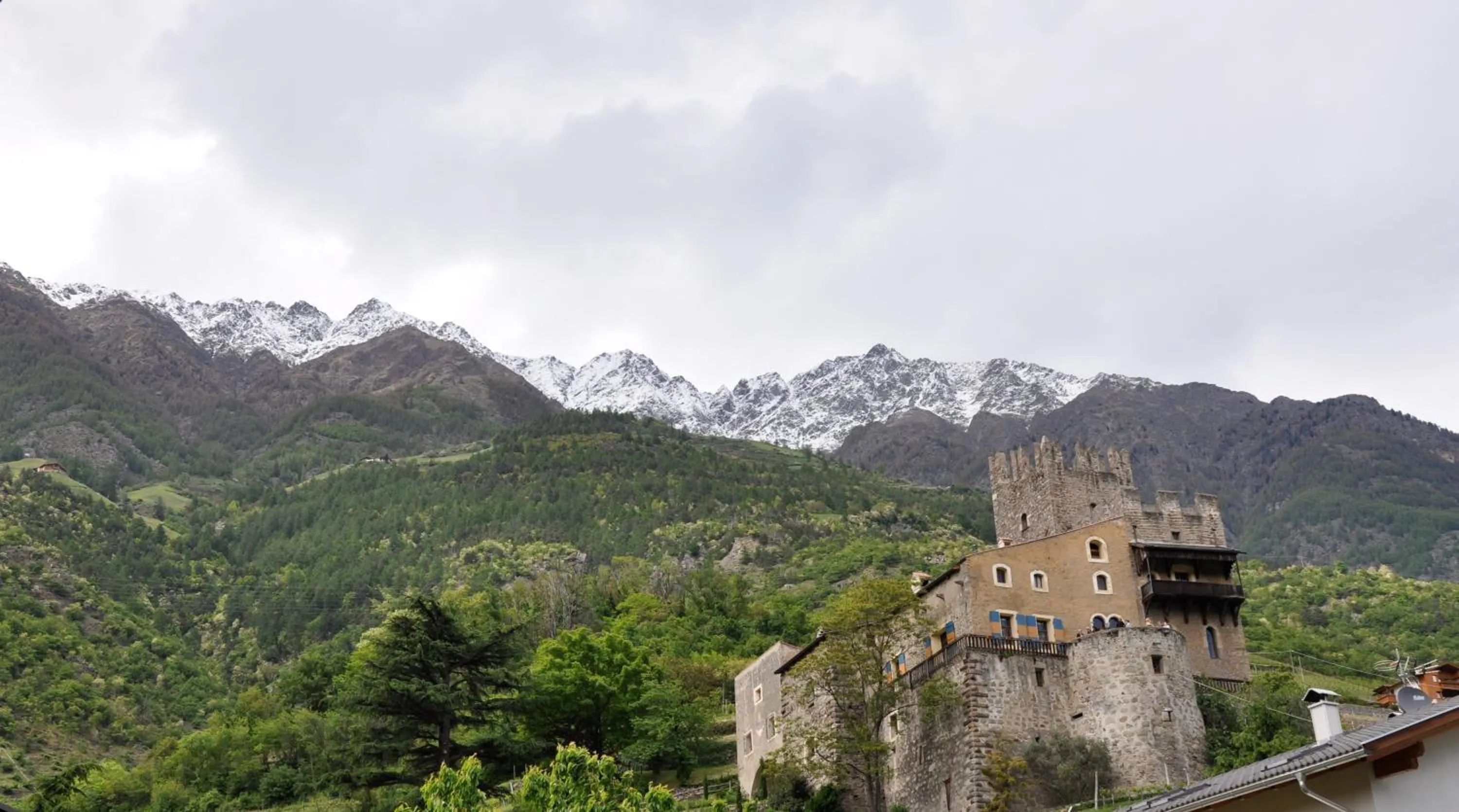 Natural landscape in Hotel Weingarten