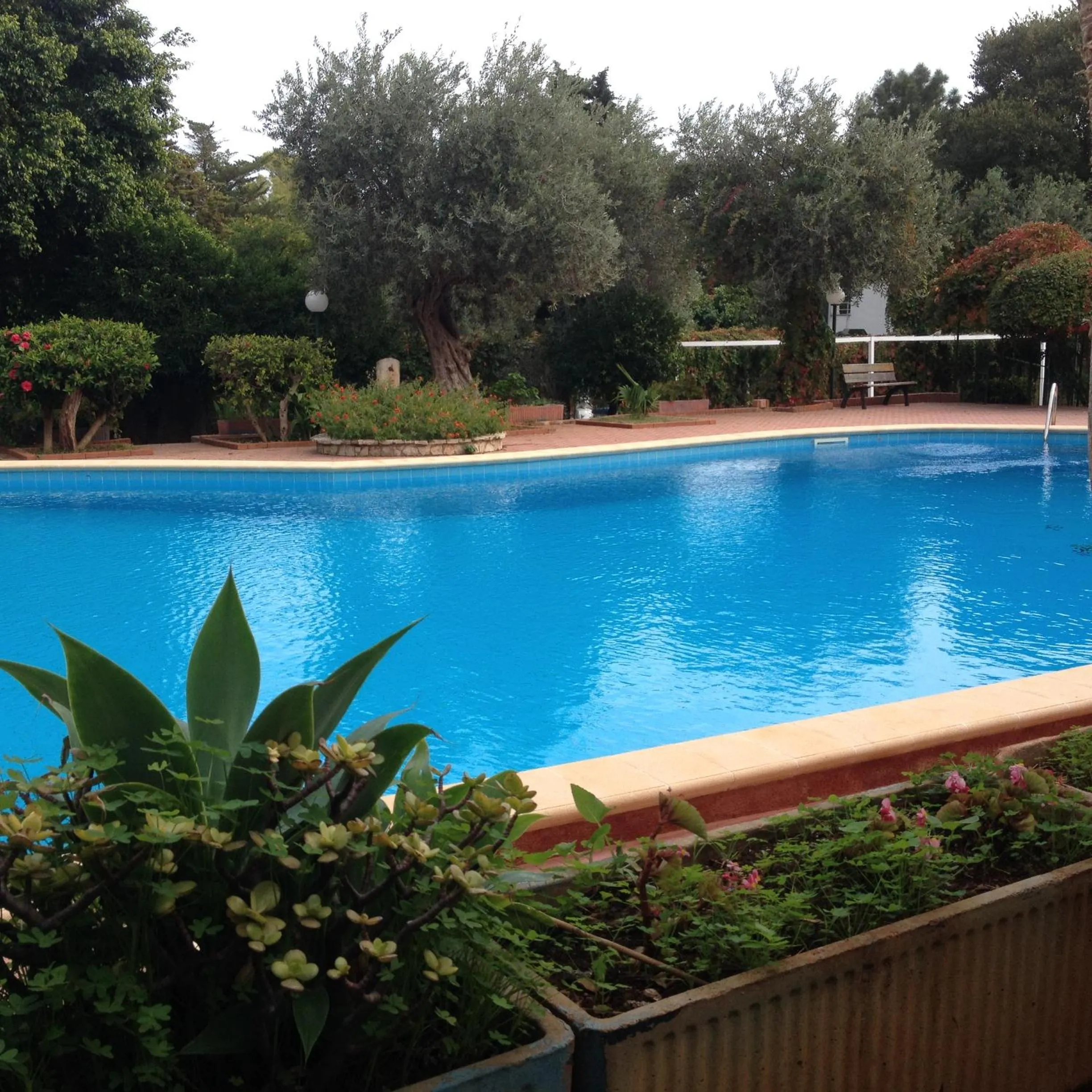 Swimming pool in Great Sicily