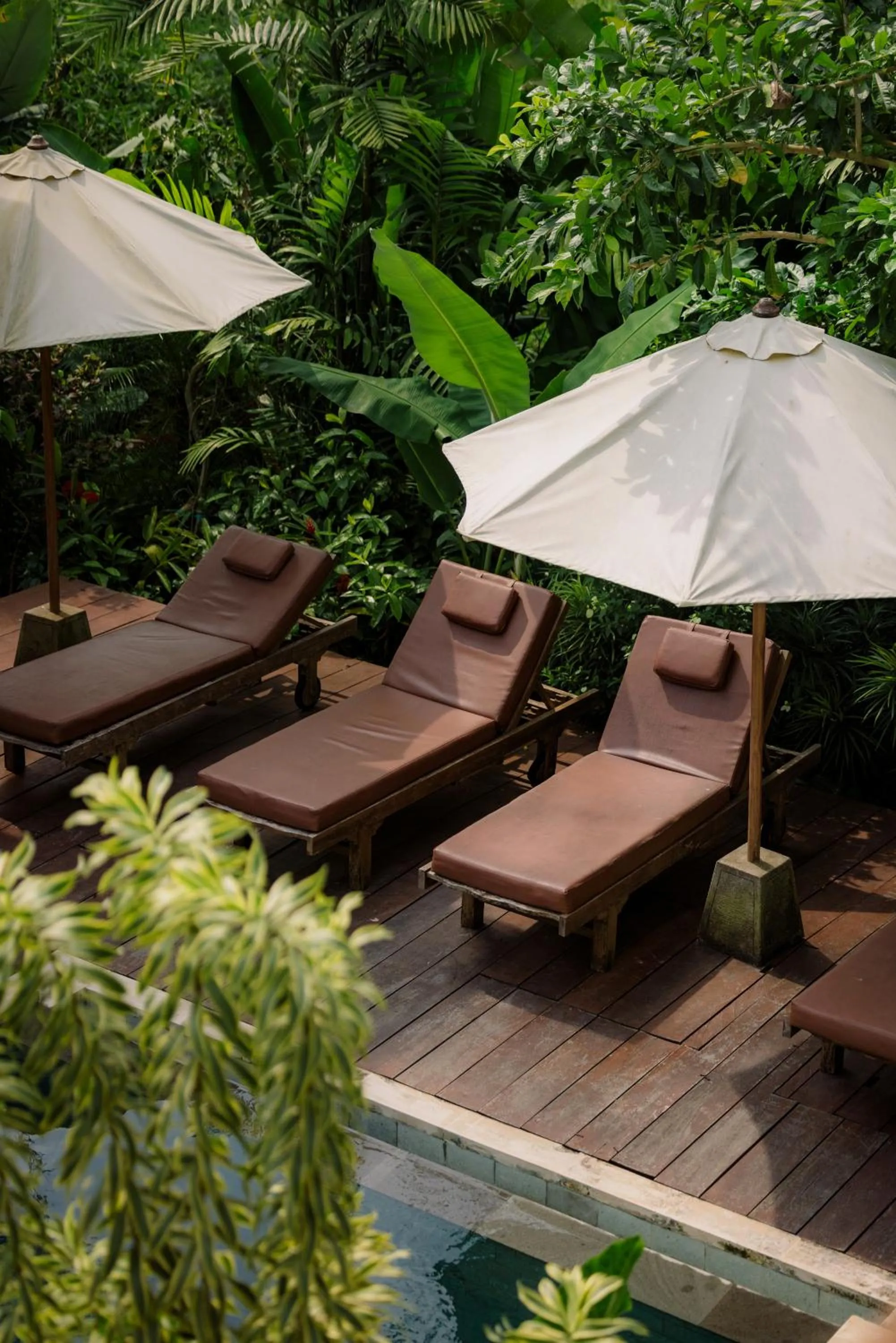 Swimming pool in Tegal Wangi Canggu