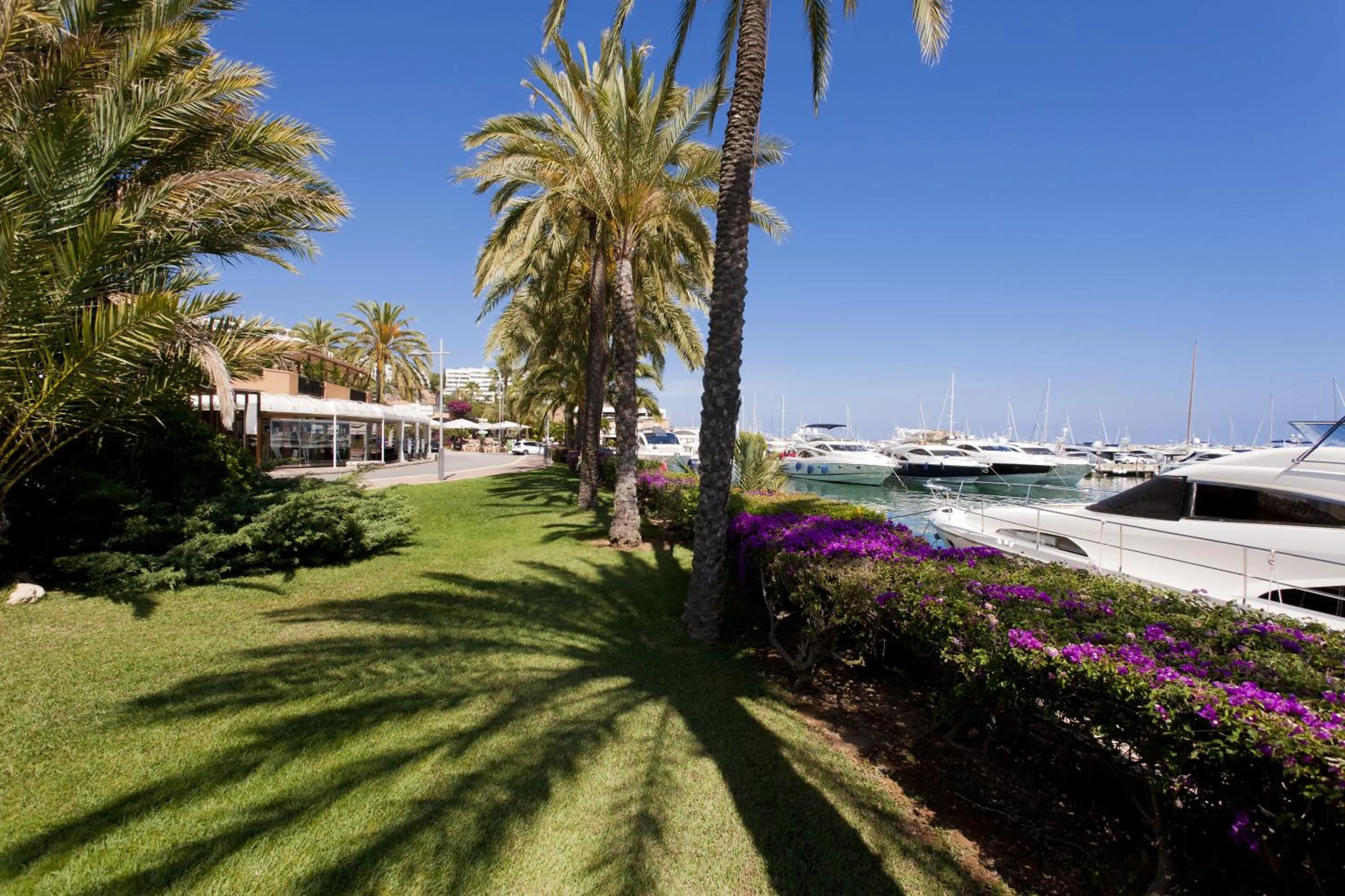 Area and facilities in Portals Hills Boutique Hotel